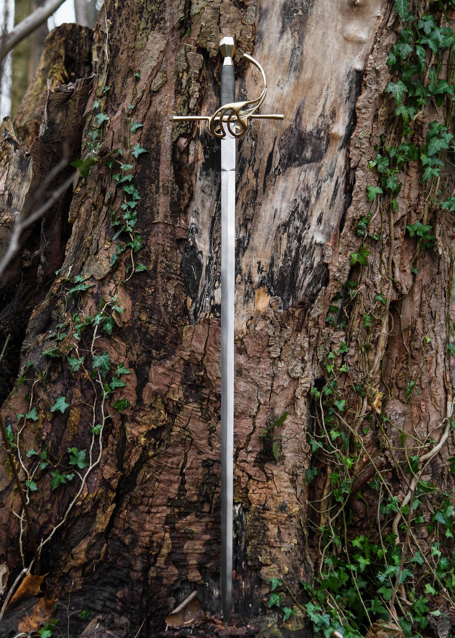 Imagen única de: Estoque, Siglo Xvii.