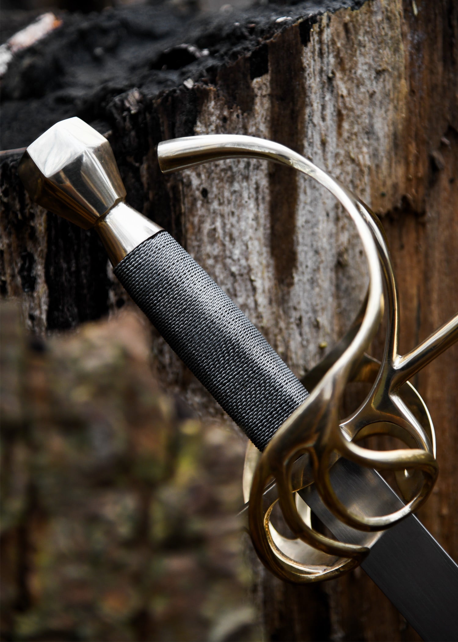 Imagen única de: Estoque, Siglo Xvii.