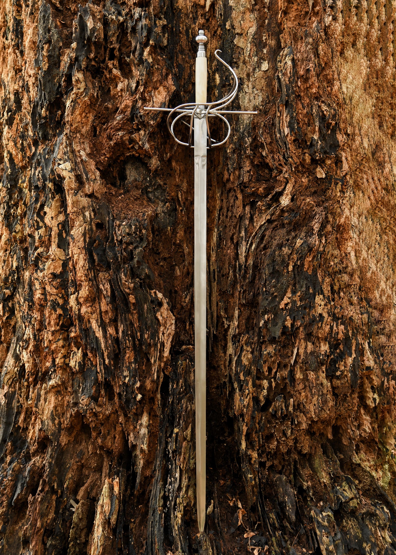 Imagen única de: Estoque Italiano Con Guarda Curva, Siglo Xvi.