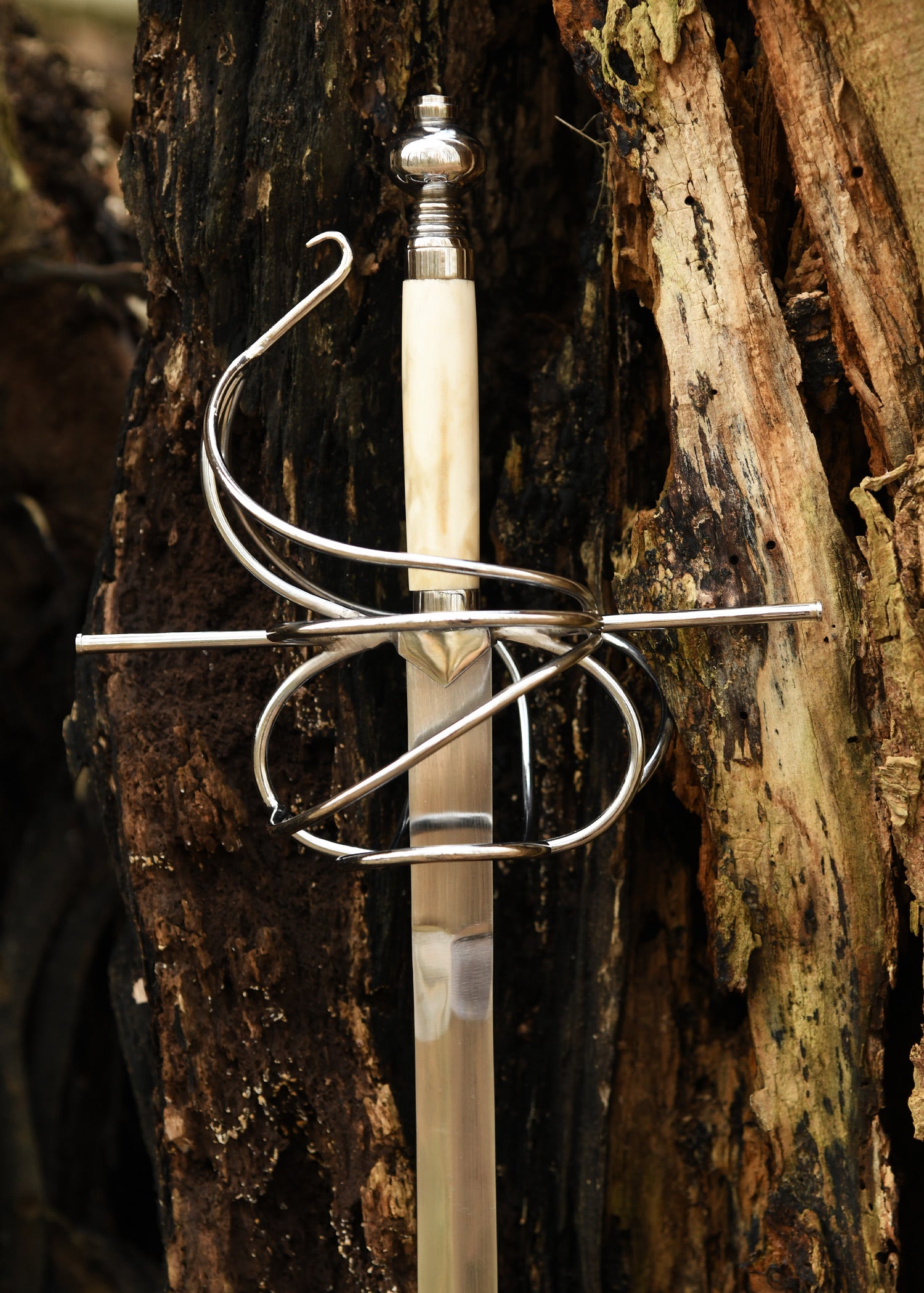 Imagen única de: Estoque Italiano Con Guarda Curva, Siglo Xvi.