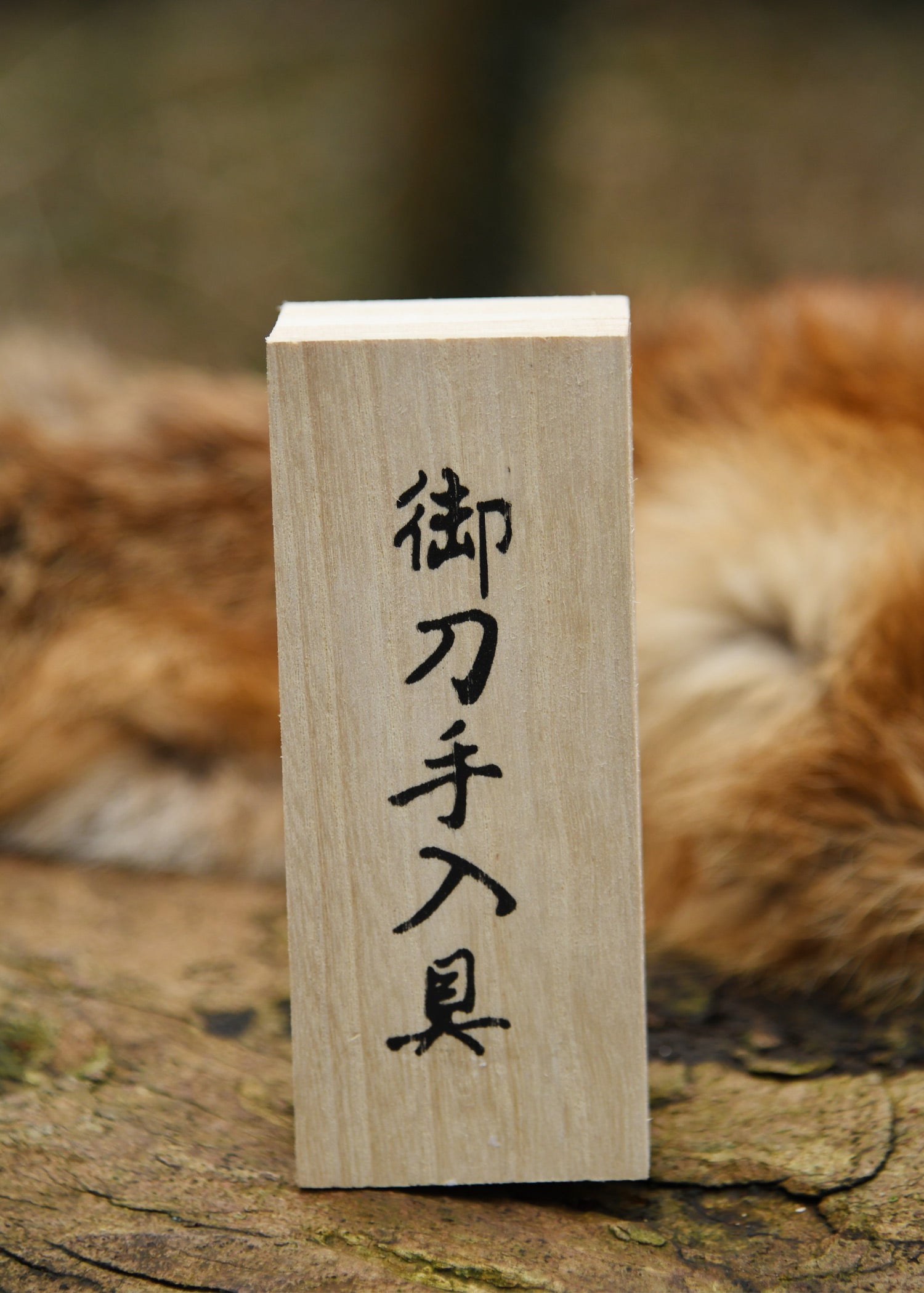 Imagen única de: Set De Cuidado Para Hojas Japonesas En Caja De Madera.