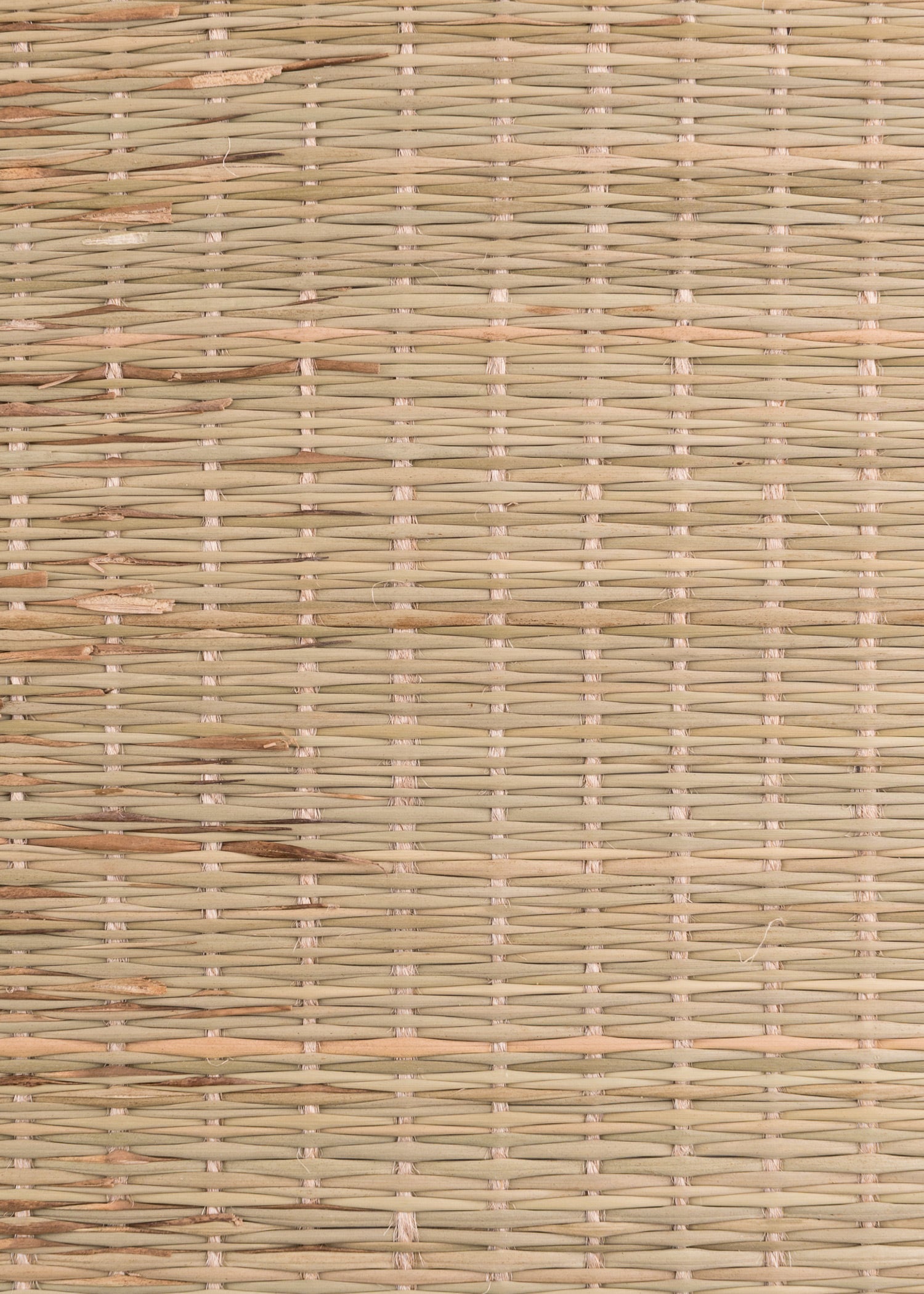 Imagen única de: Tatami Para Pruebas De Corte (Tameshigiri), Aprox. 180 X 90 Cm. Tienda Medieval.