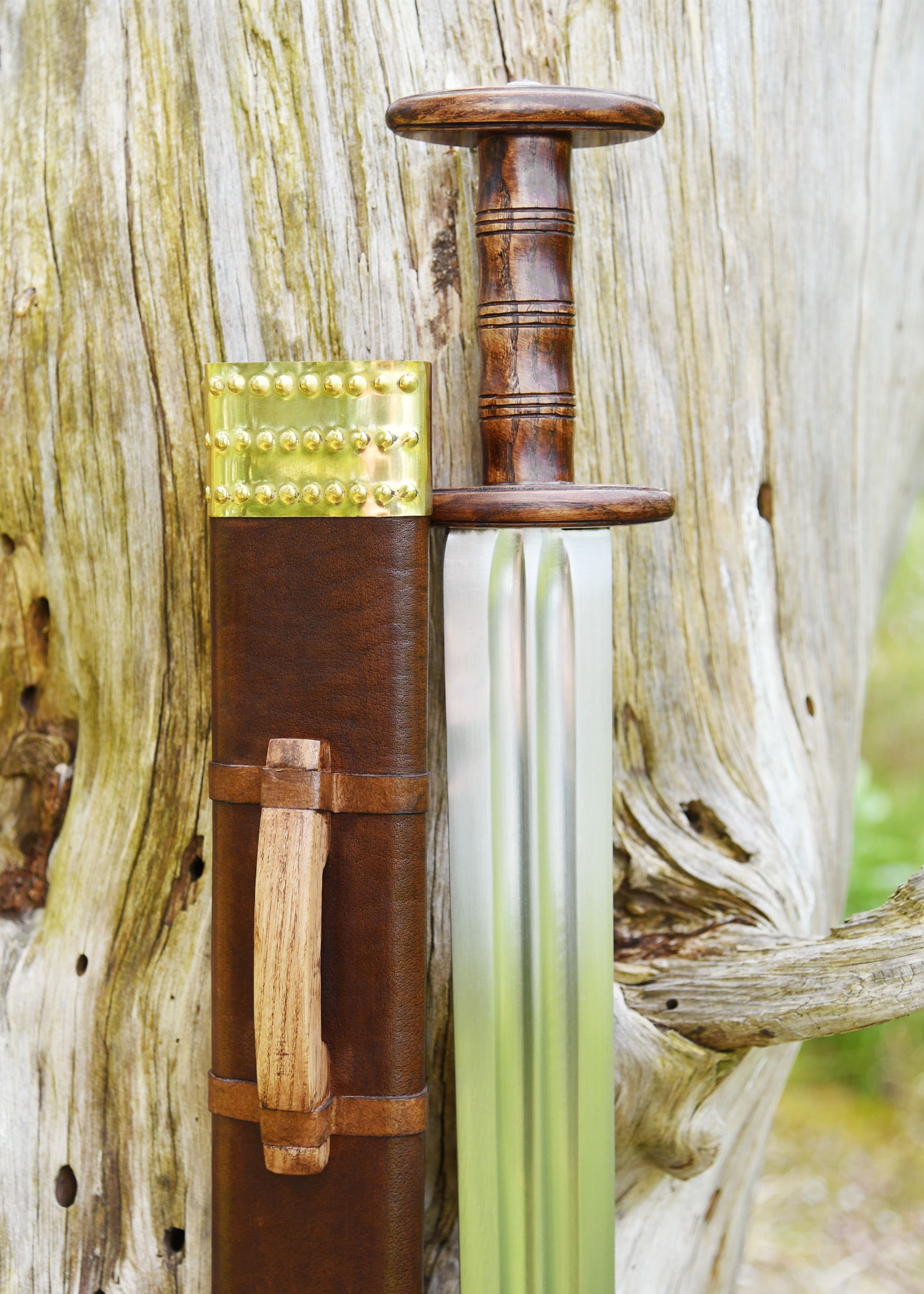 Imagen única de: Espada Romana Nydam , Categoría-C