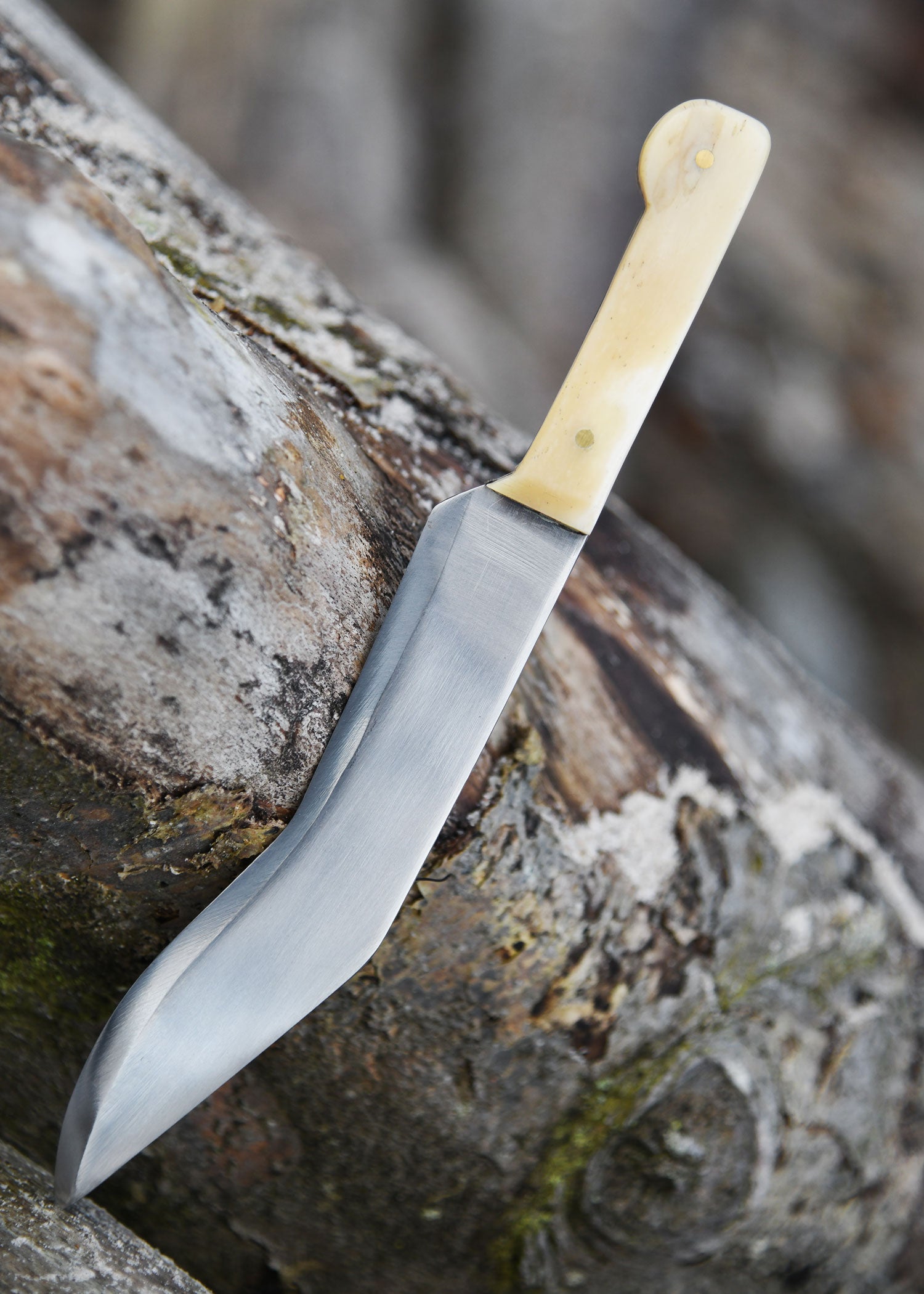 Imagen única de: Falcata Con Mango De Cabeza De Caballo, Incluida Vaina Y Cuchillo Lateral, Siglos Iv-iii Siglo A.c. Antes De Cristo , Categoría-C