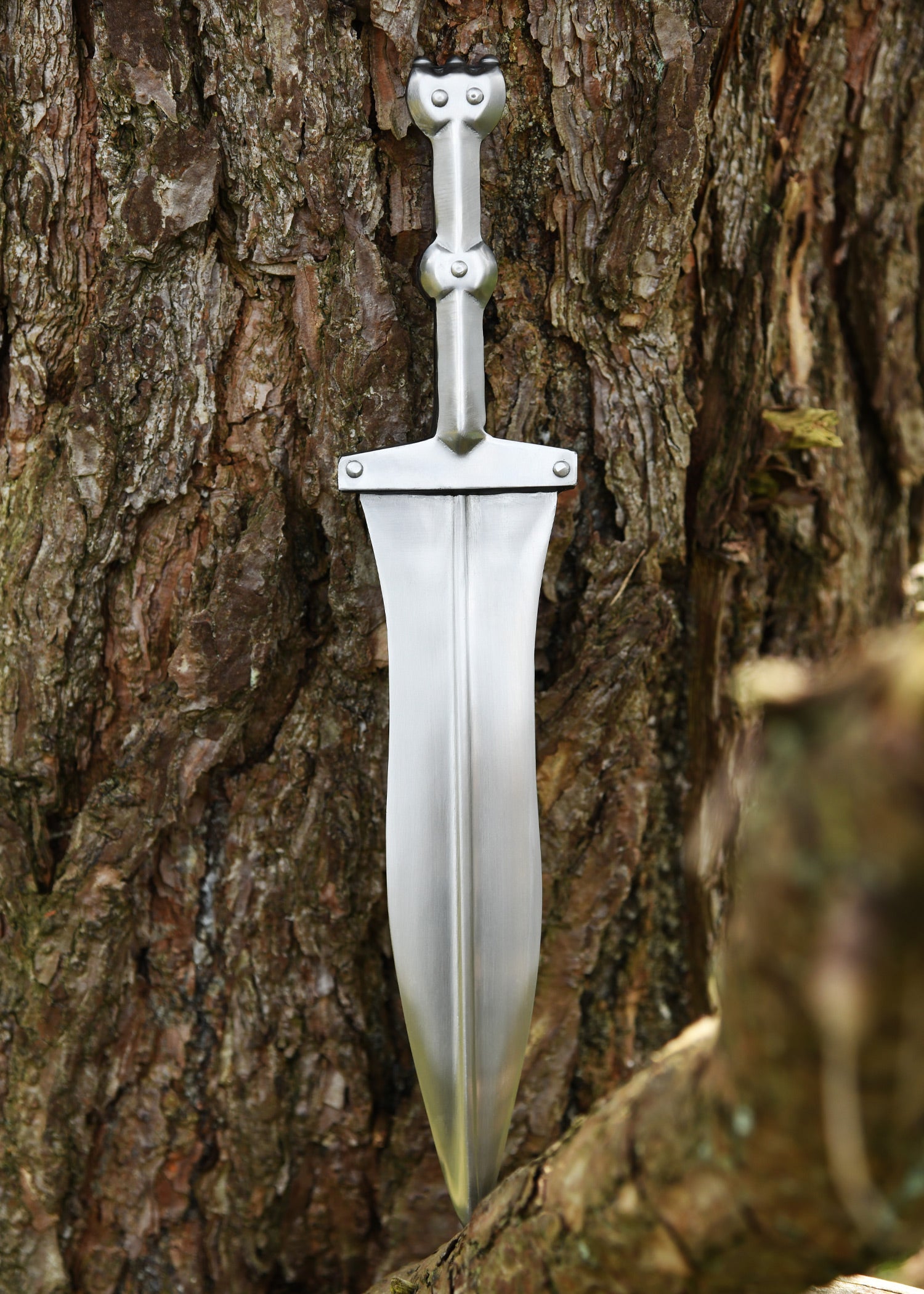 Imagen única de: Pompeya Pugio, Siglo I