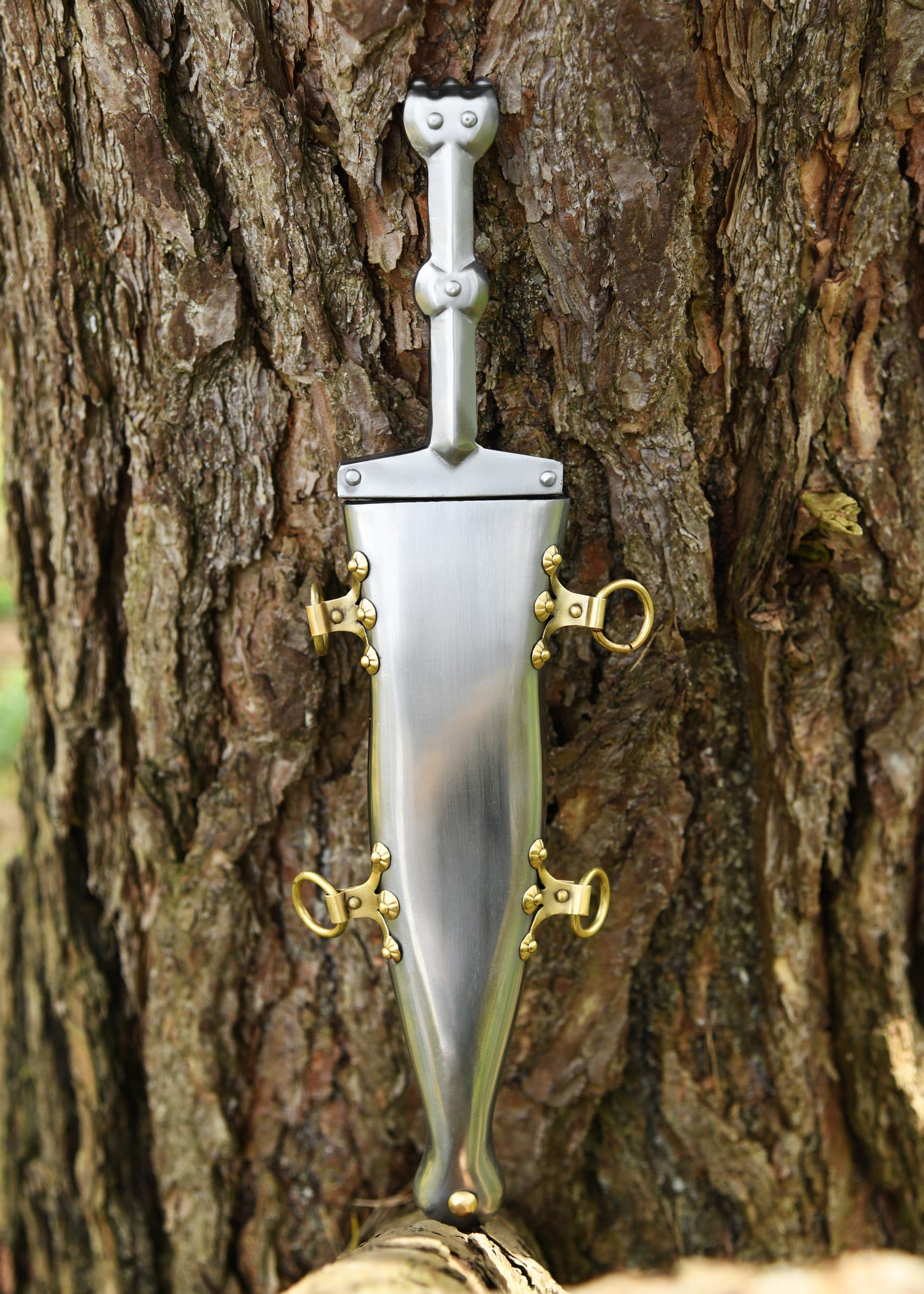 Imagen única de: Pompeya Pugio, Siglo I