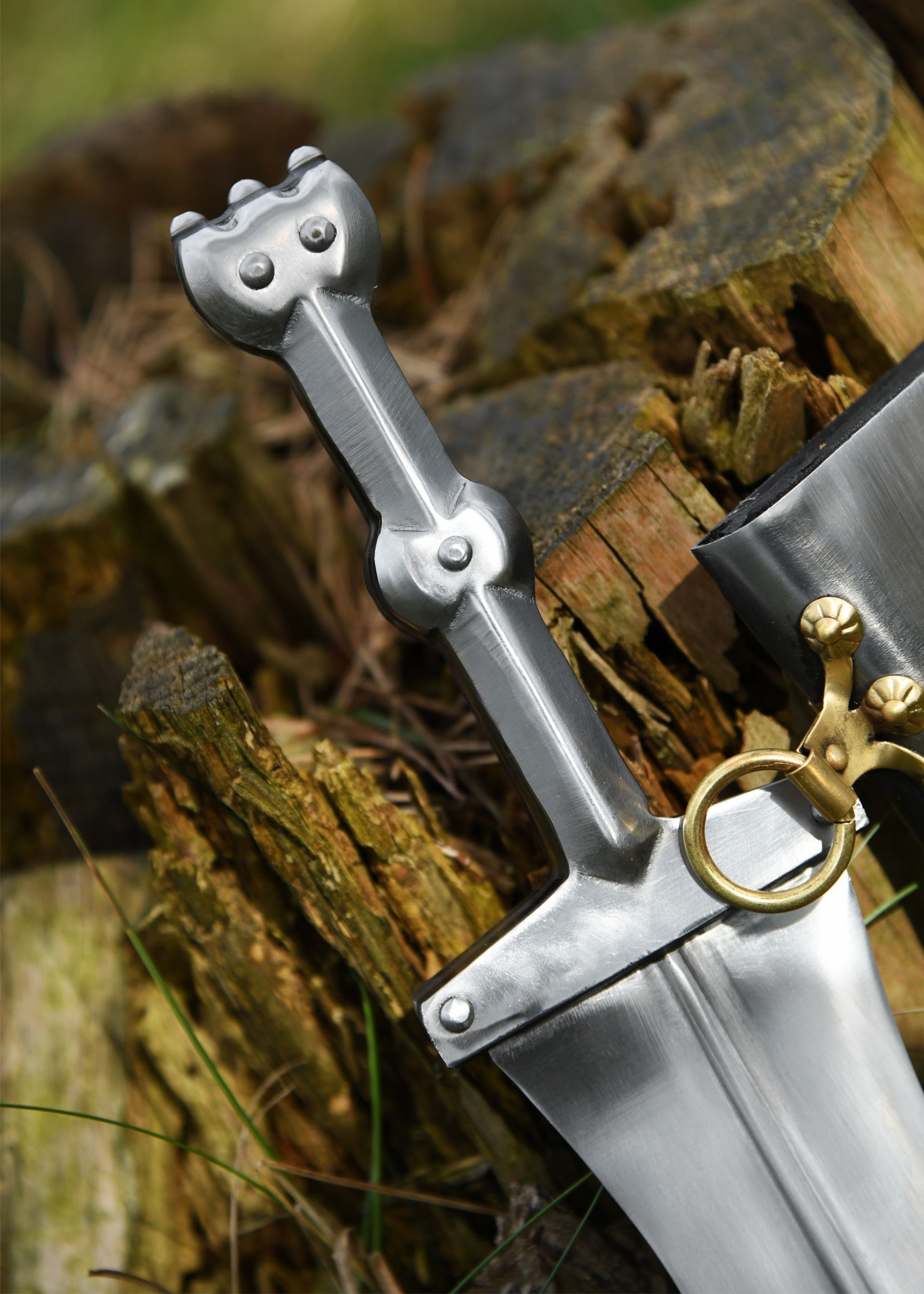 Imagen única de: Pompeya Pugio, Siglo I