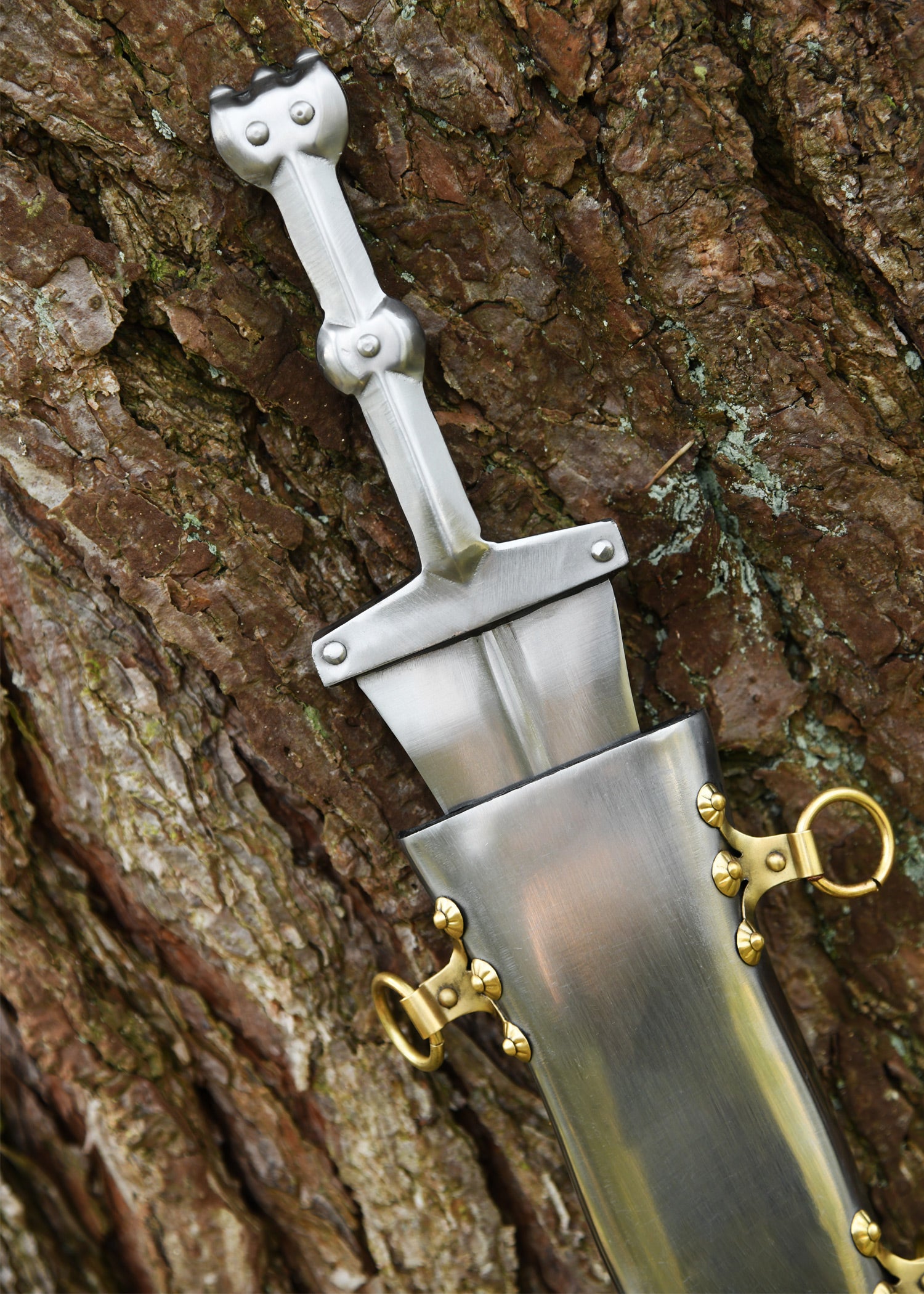 Imagen única de: Pompeya Pugio, Siglo I