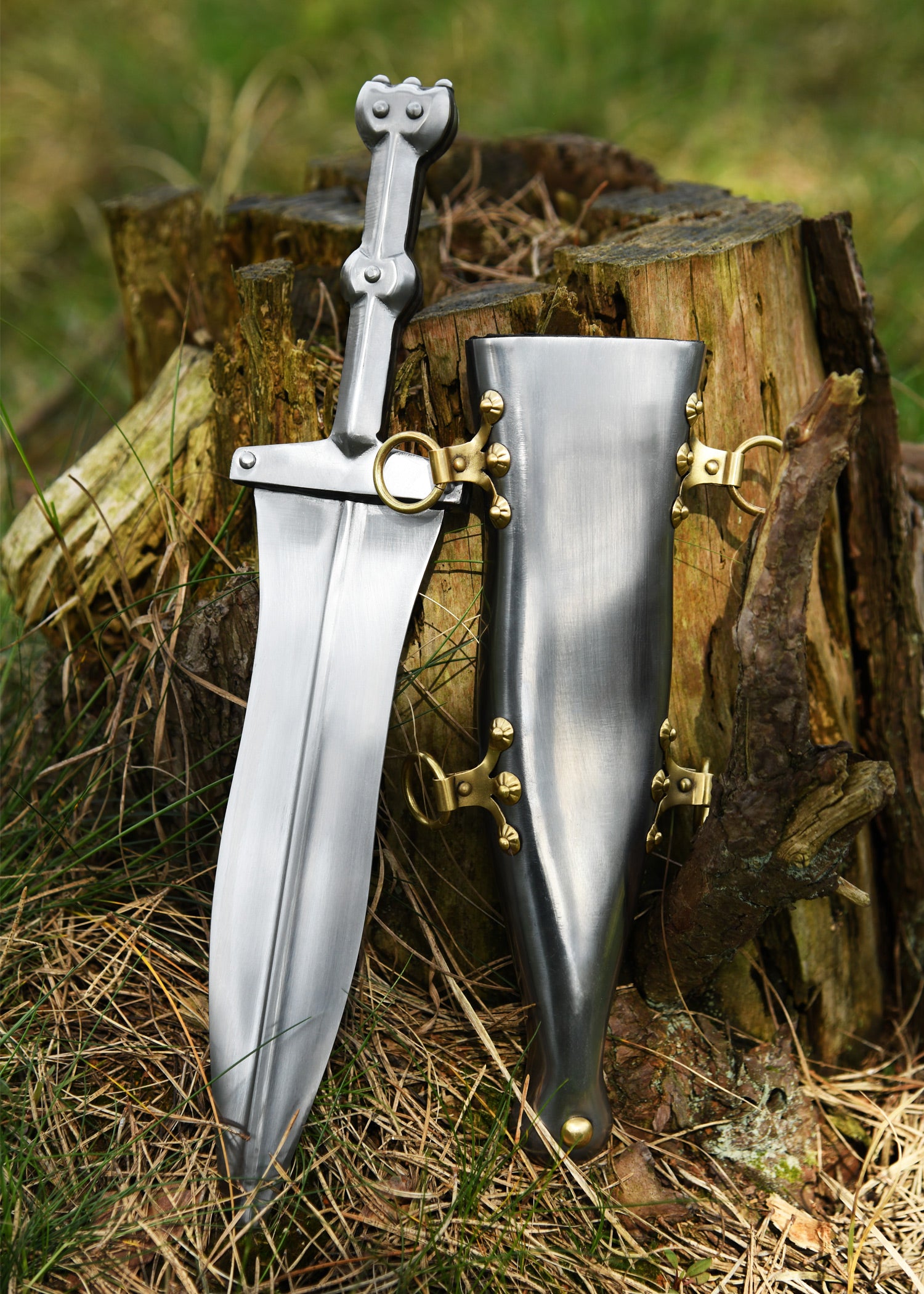 Imagen única de: Pompeya Pugio, Siglo I