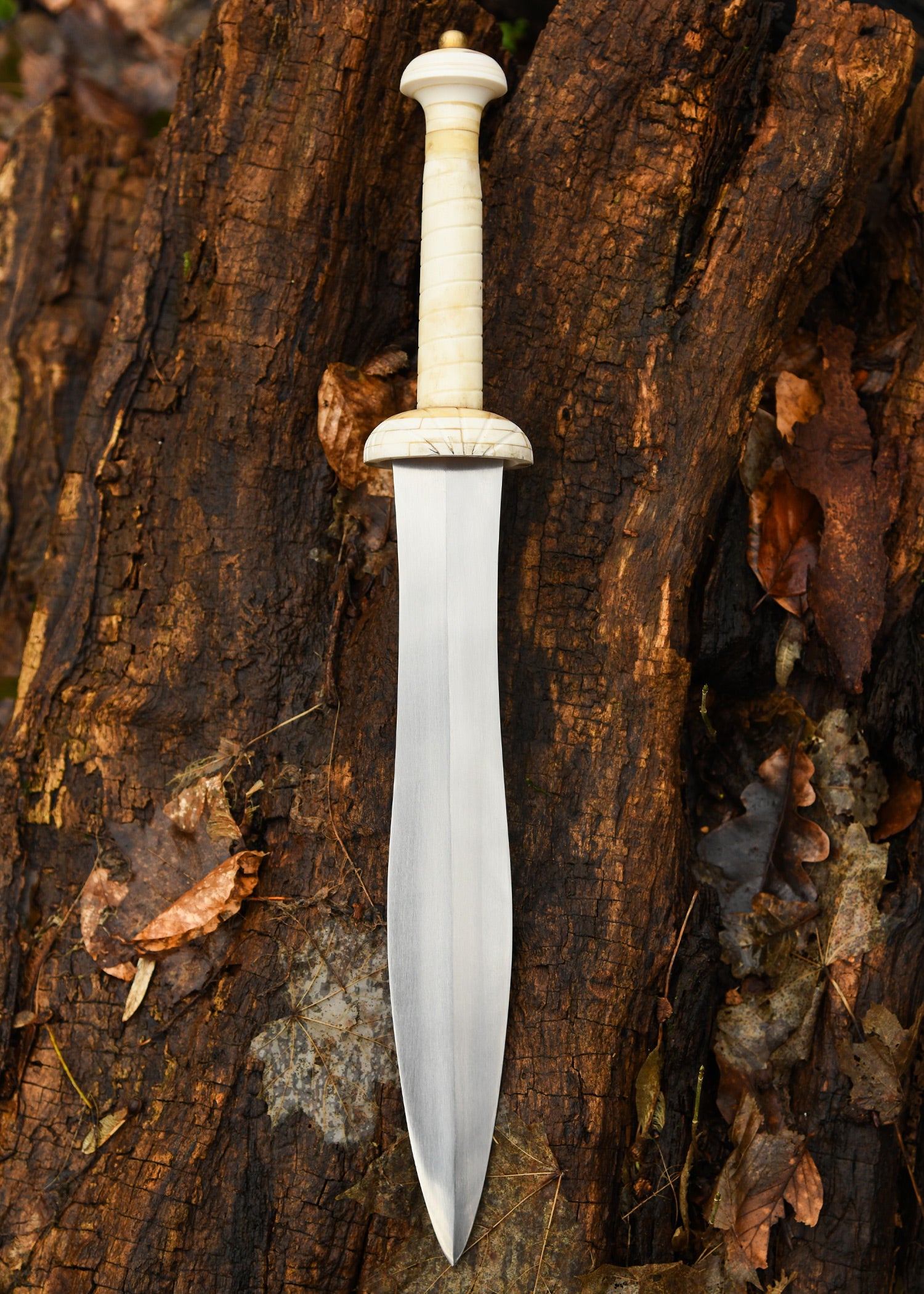 Imagen única de: Daga De Gladiador Con Mango De Hueso.