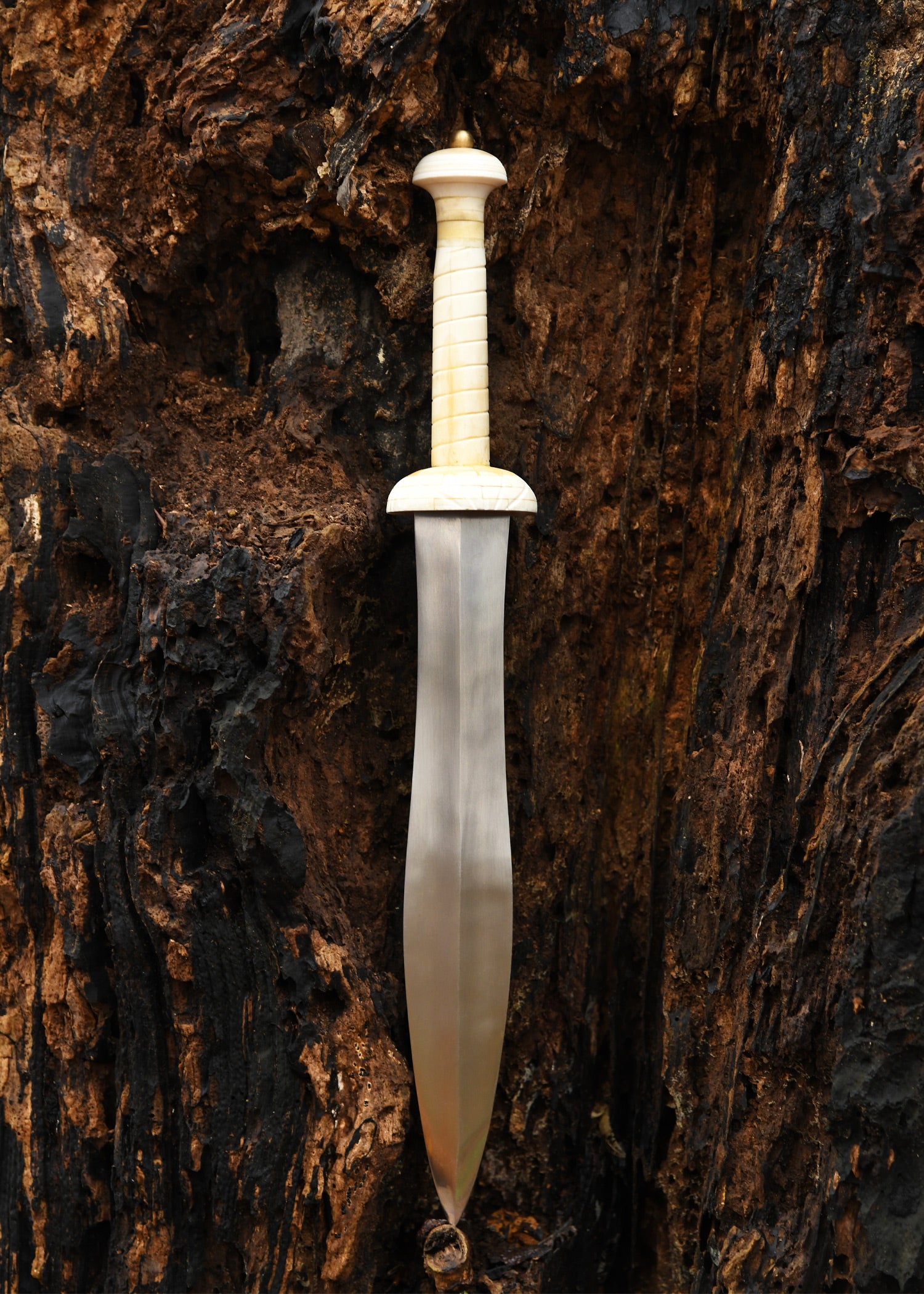 Imagen única de: Daga De Gladiador Con Mango De Hueso.