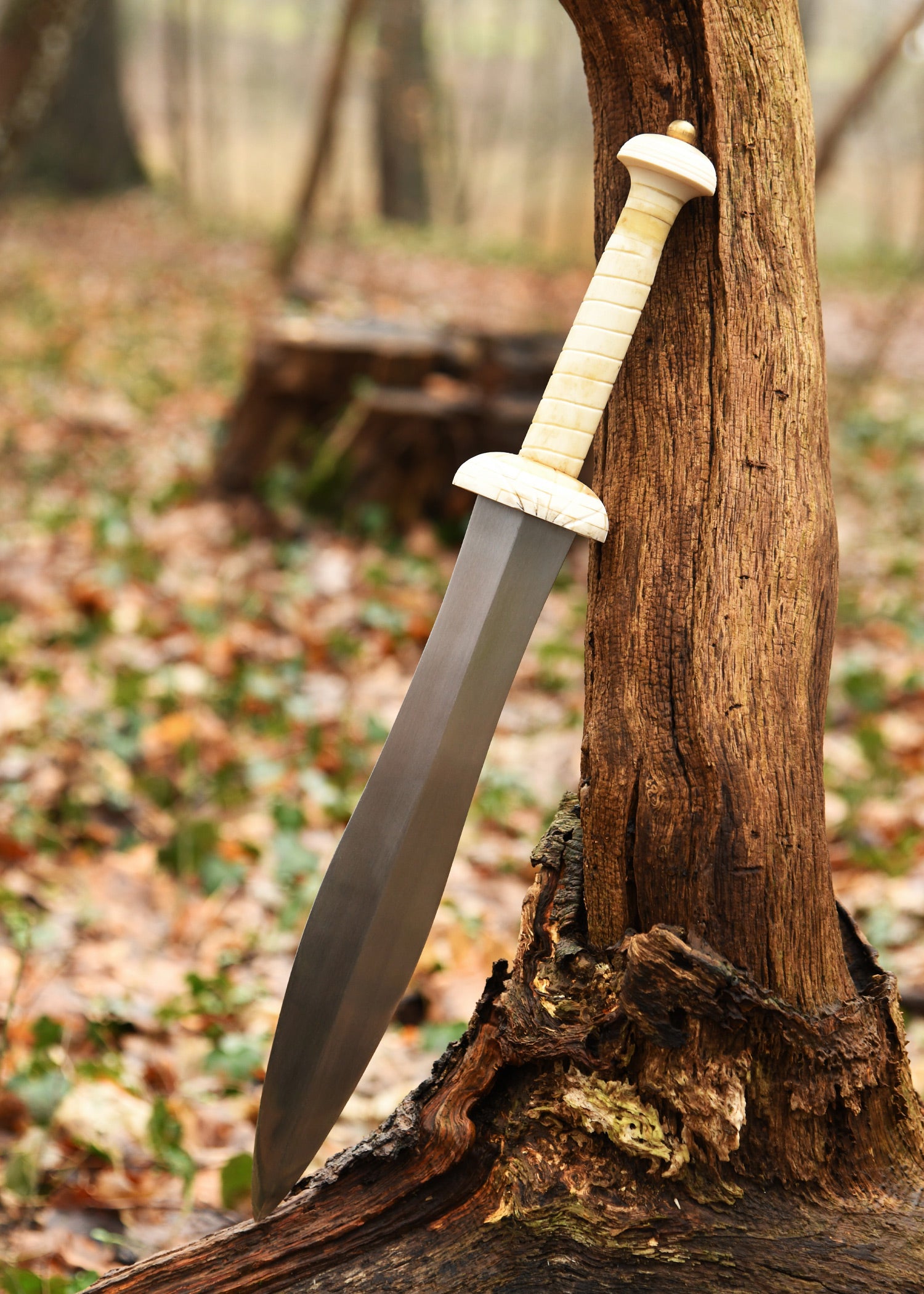 Imagen única de: Daga De Gladiador Con Mango De Hueso.