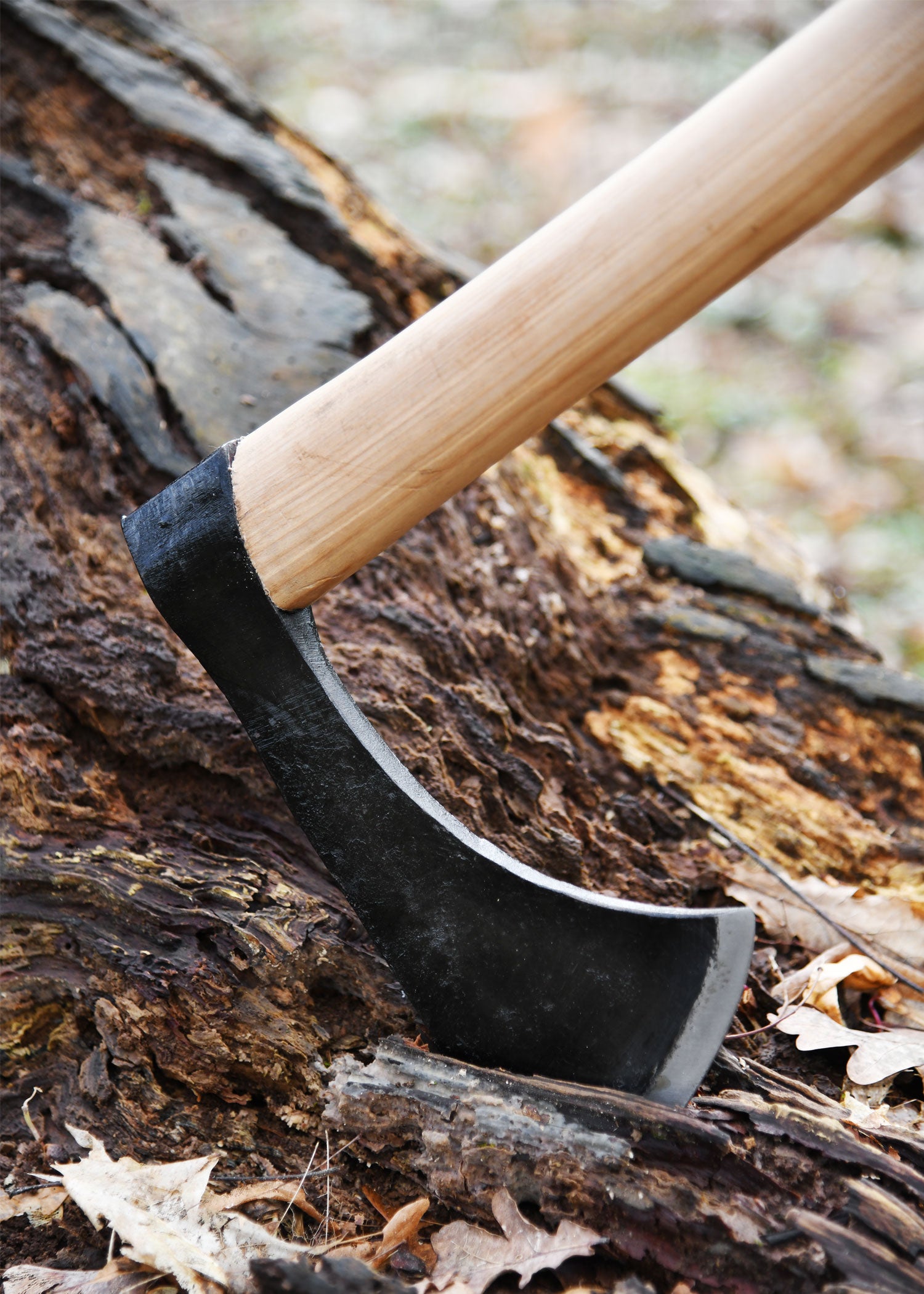 Imagen única de: Hacha Franziska