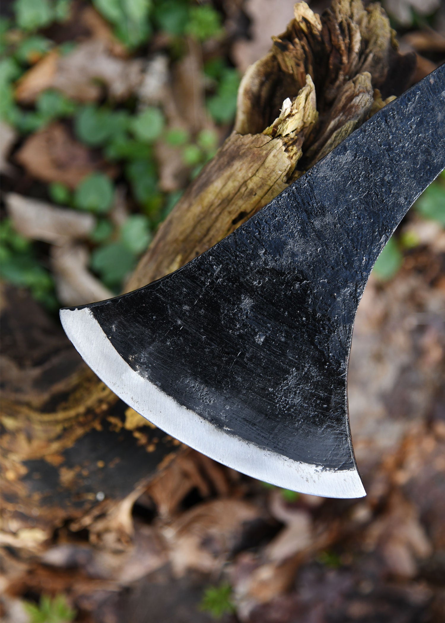 Imagen única de: Hacha Franziska