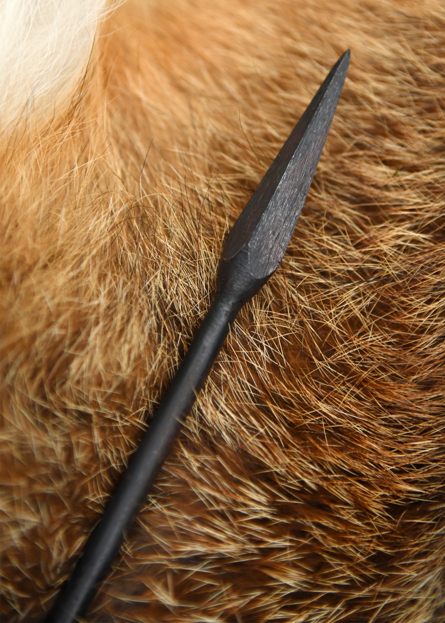 Imagen única de: Punta De Flecha Histórica H