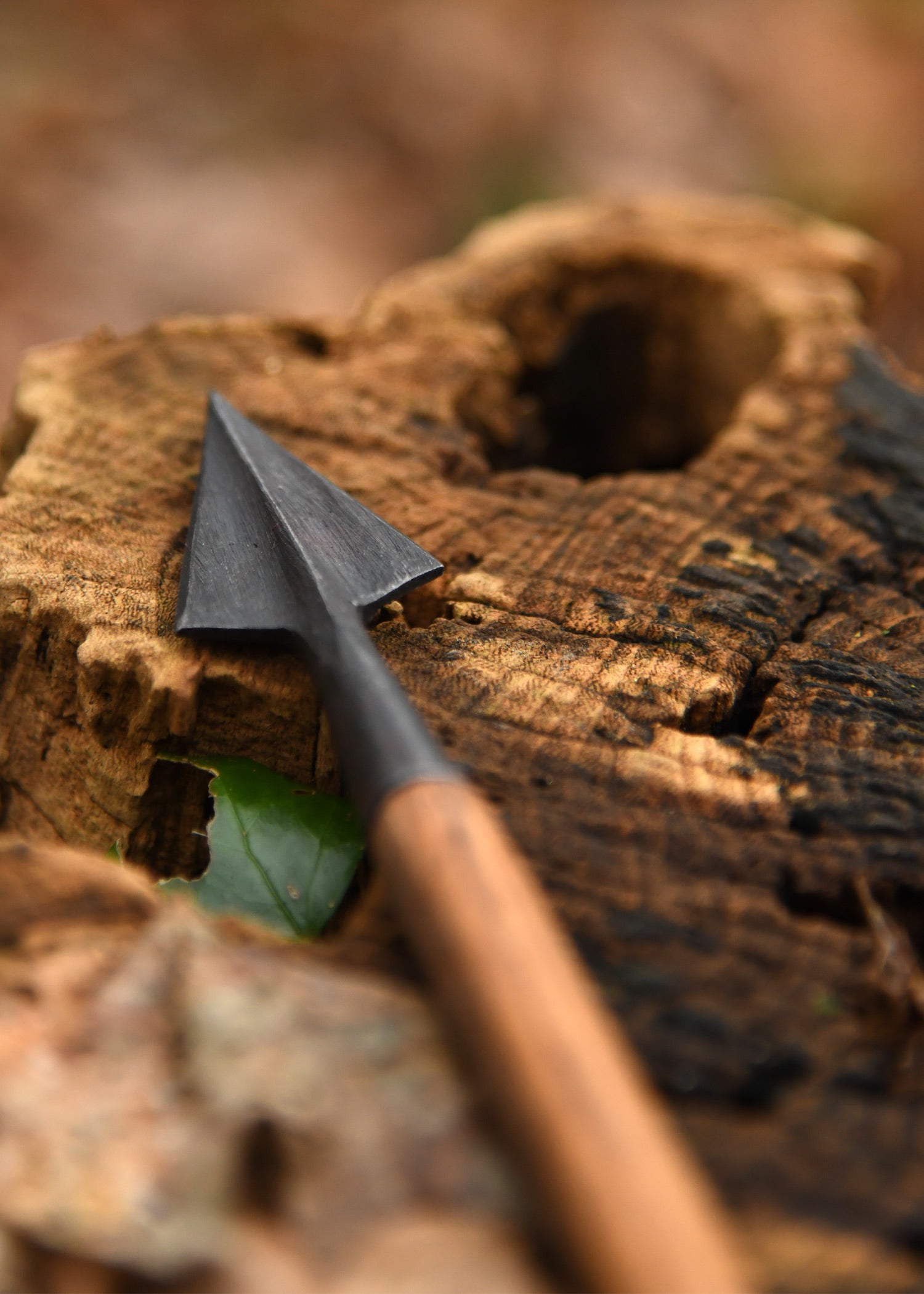 Imagen única de: Punta De Flecha Histórica M