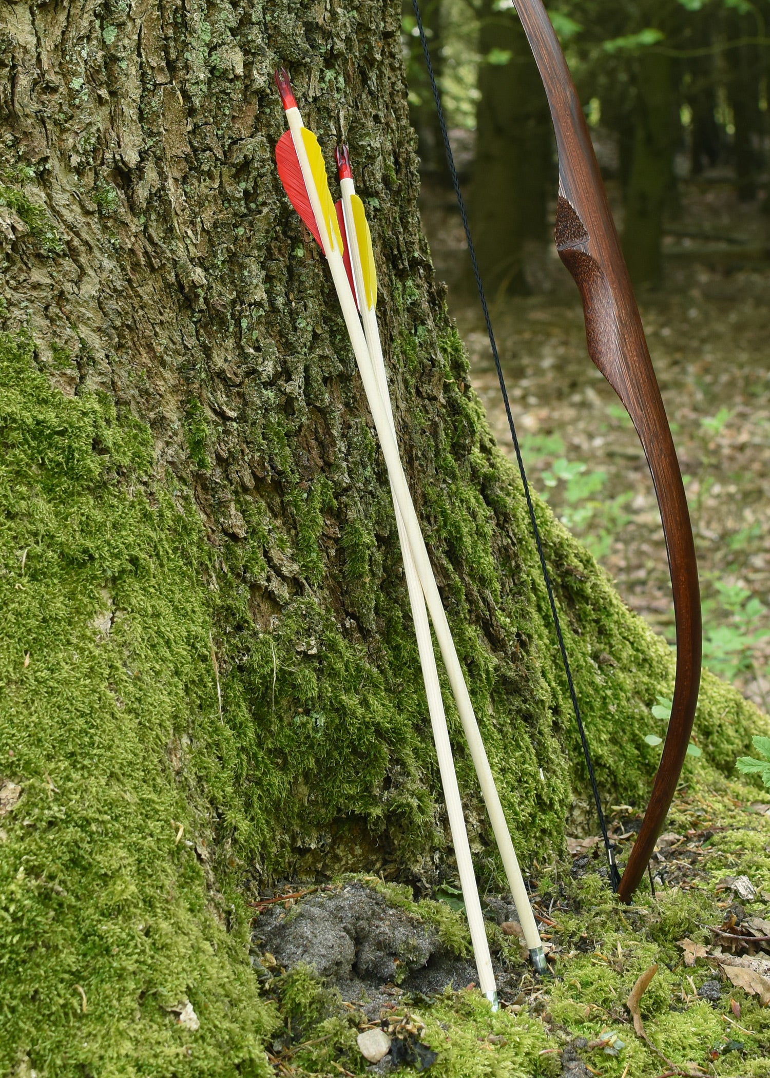 Imagen única de: Flecha De Madera Little Archer, 20 Pulgadas