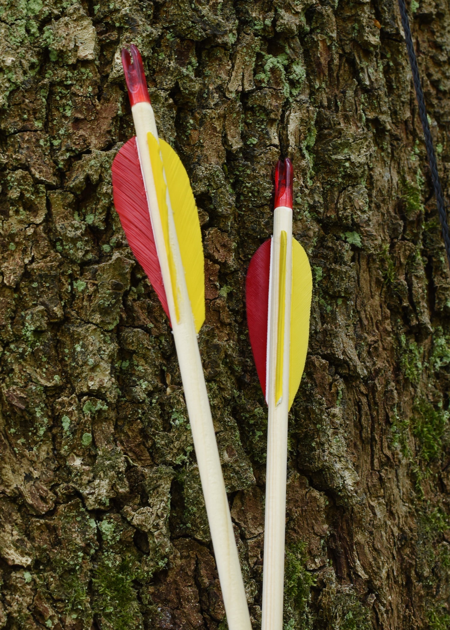 Imagen única de: Juego De Arco Para Niños Little Archer, 30 Pulgadas