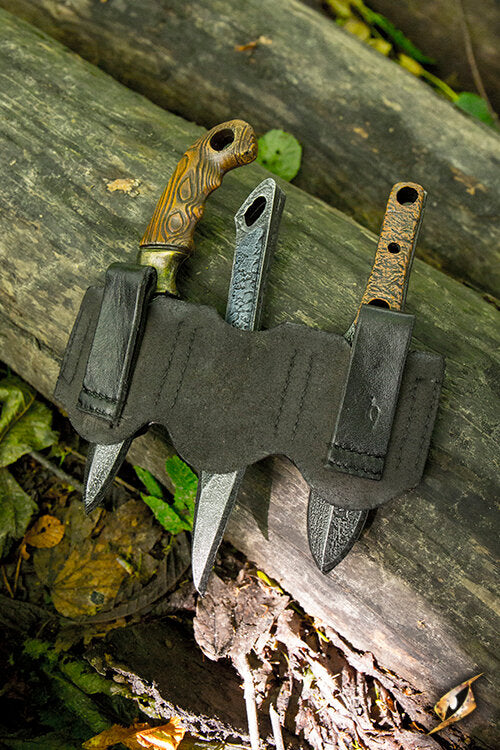 Imagen única de: Juego De Cuchillos Y Soporte Rogue