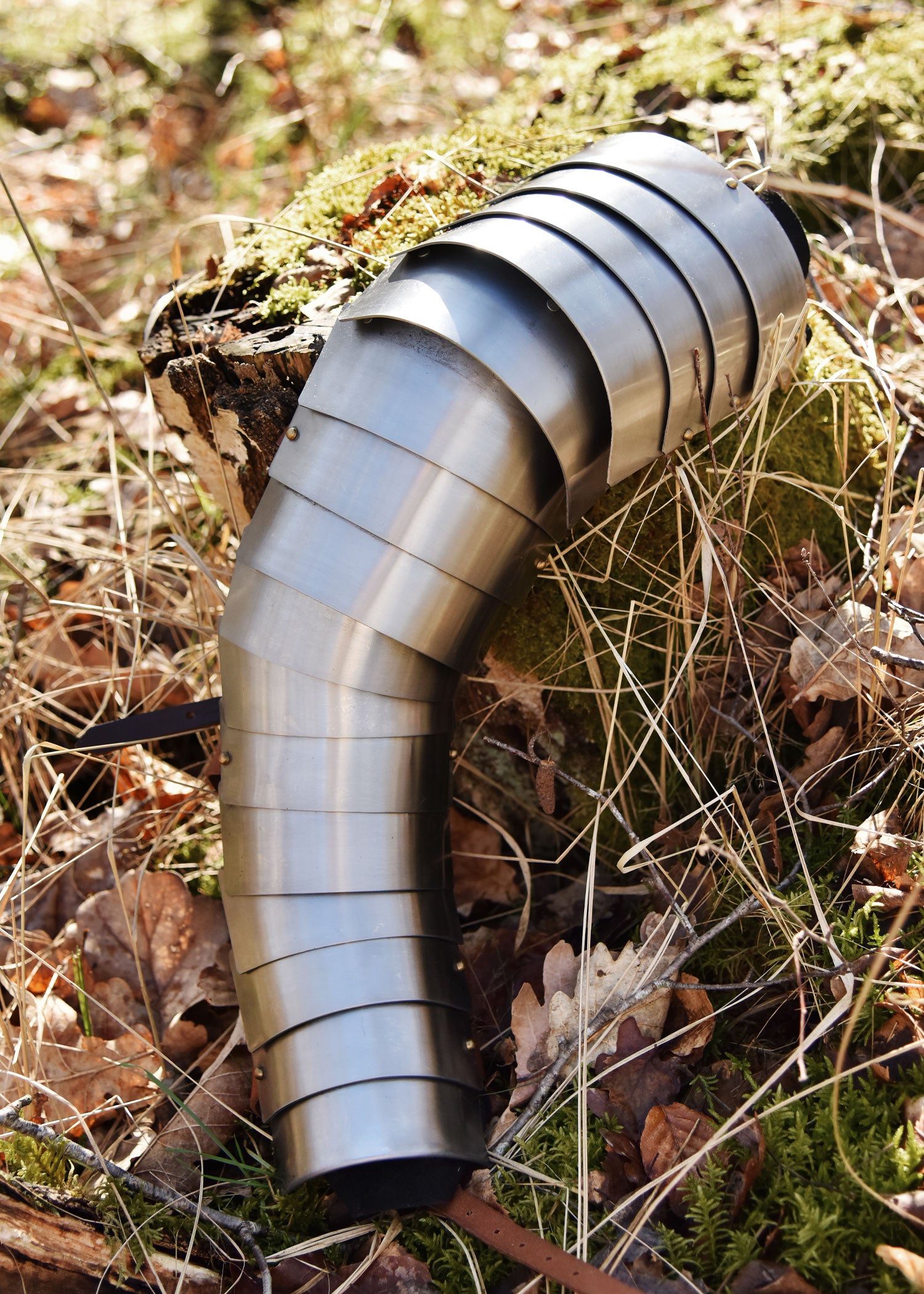 Imagen única de: Lorica Segmentata - Protección Del Brazo