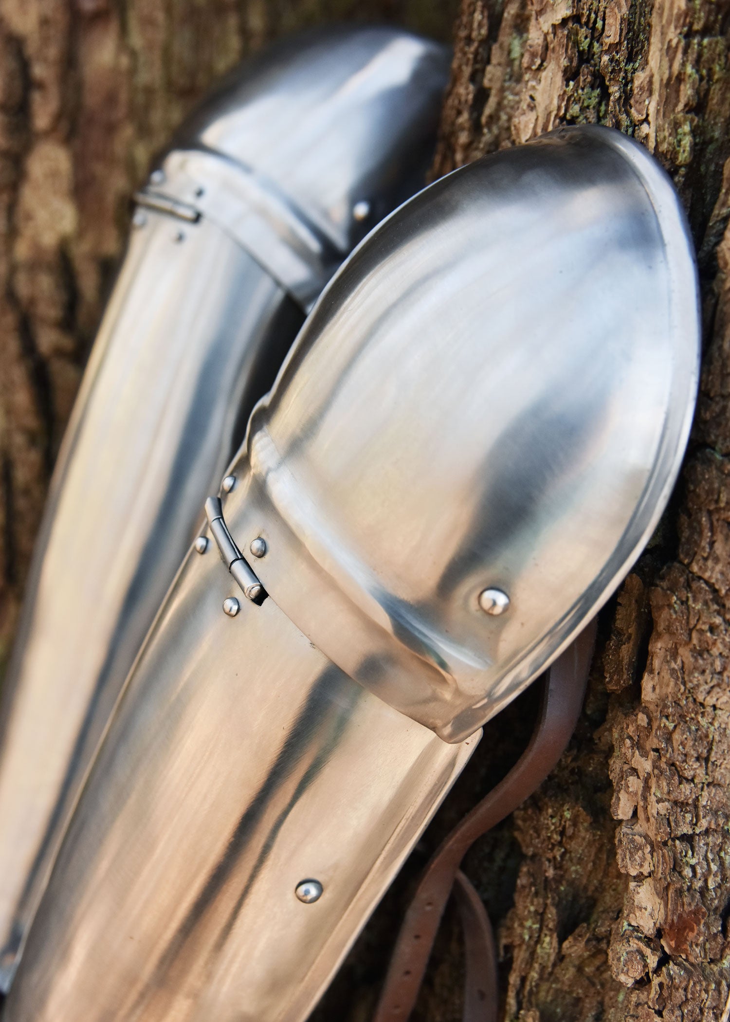 Imagen única de: Grebas De Acero