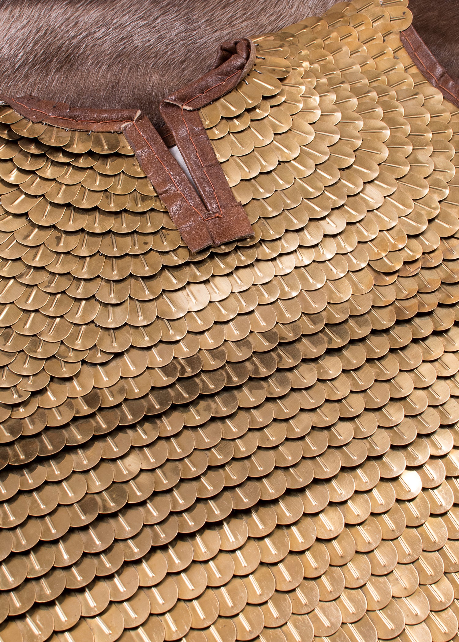 Imagen única de: Lorica Squamata, Armadura De Escamas Romana