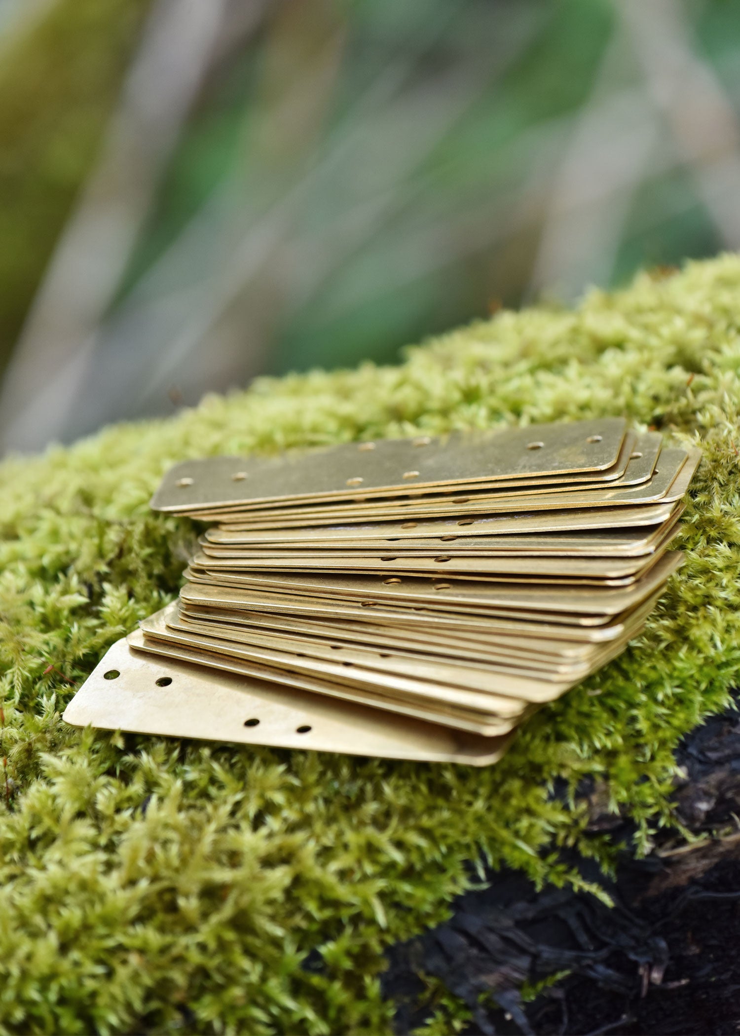 Imagen única de: Básculas De Latón Para Slat Armor 90 Mm X 30 Mm (Paquete De 25)