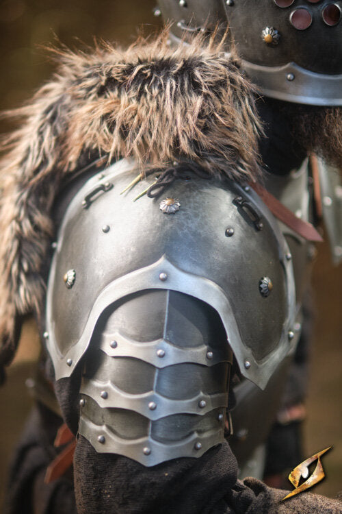 Imagen única de: Espaldares De Merodeador