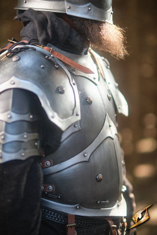 Imagen única de: Coraza De Merodeador