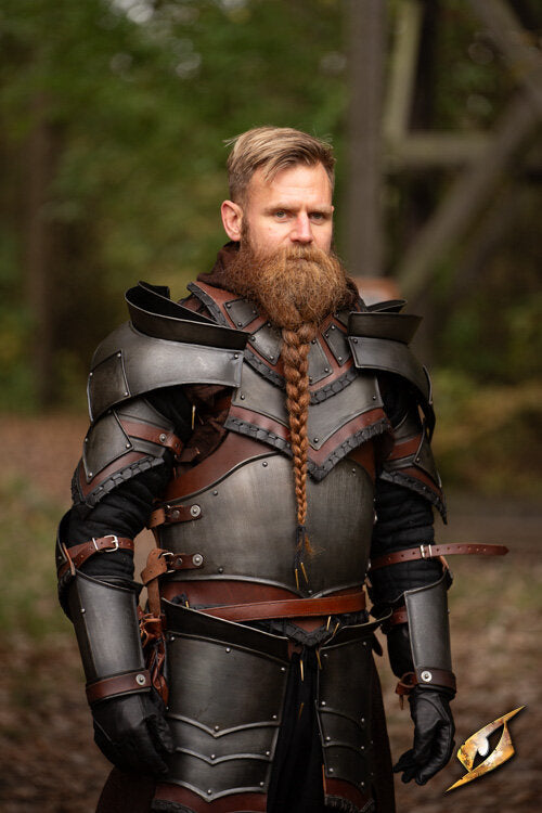 Imagen única de: Armadura Completa De Pícaro