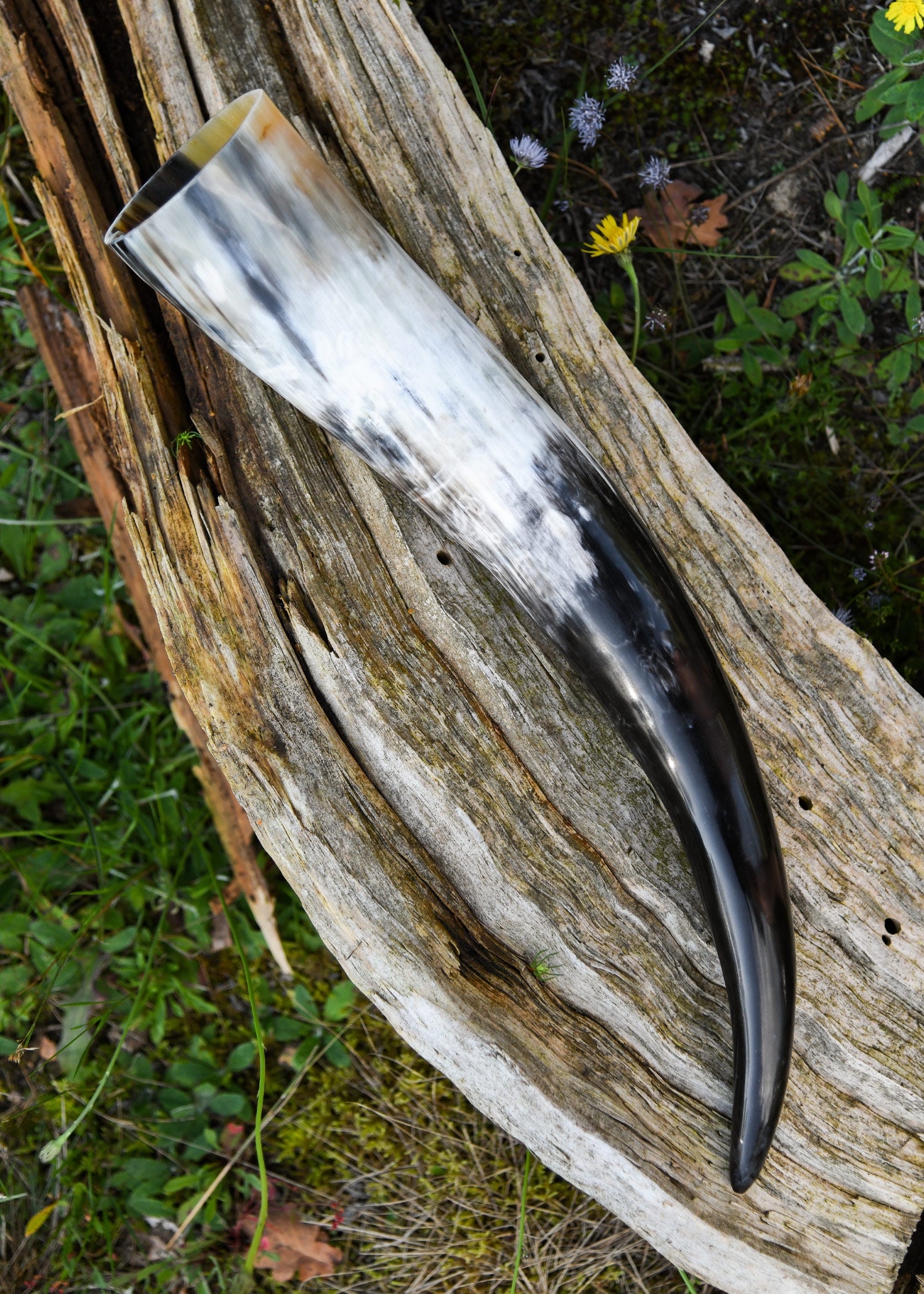 Cuerno Para Beber, Aprox. 0,4 Litros - Tienda Medieval.