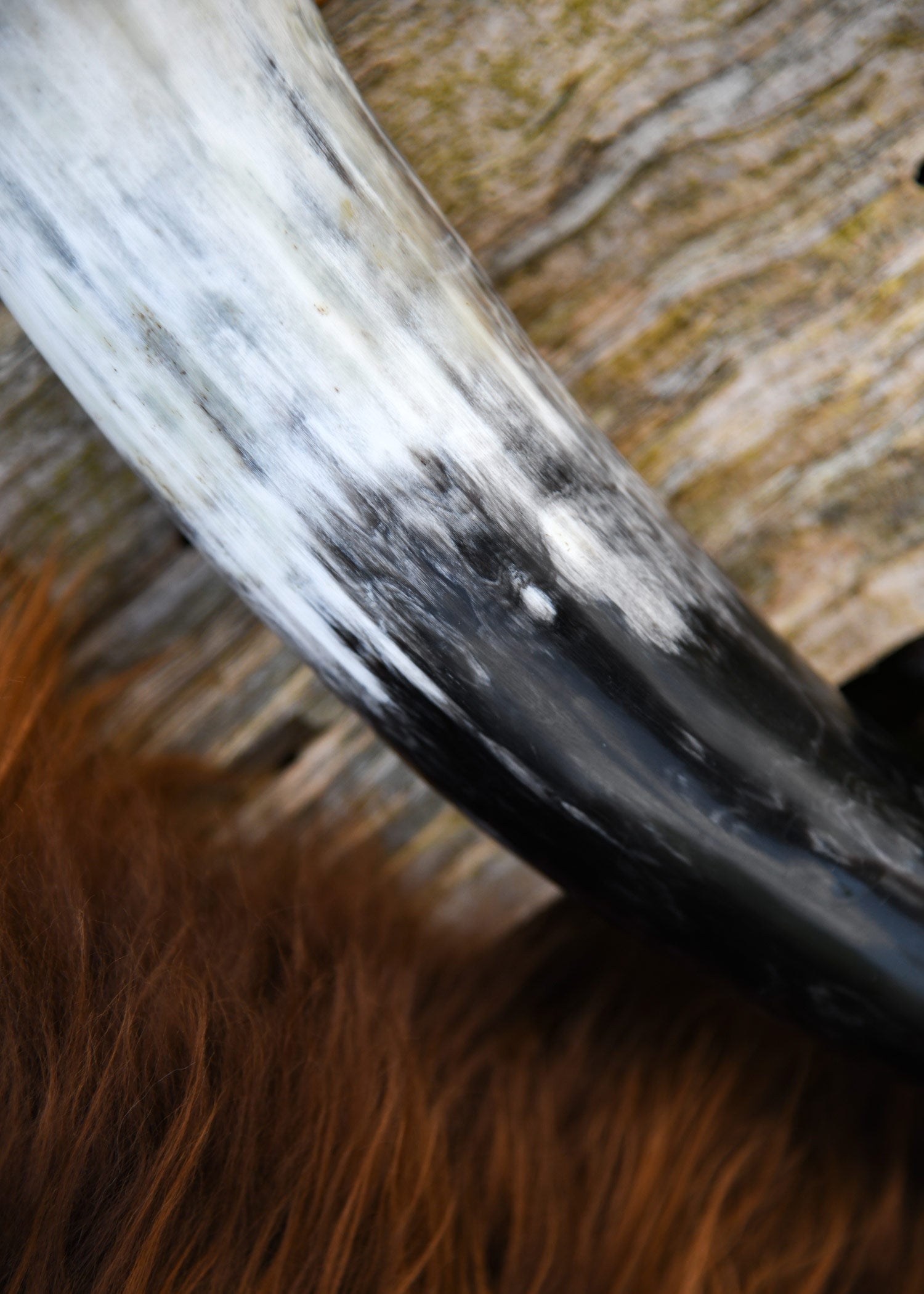 Cuerno Para Beber, Aprox. 0,4 Litros - Tienda Medieval.