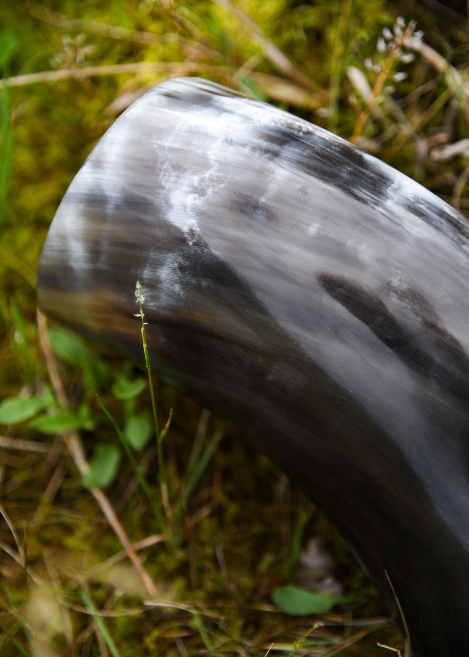 Imagen única de: Cuerno Para Beber, Aprox. 1,75 Litros