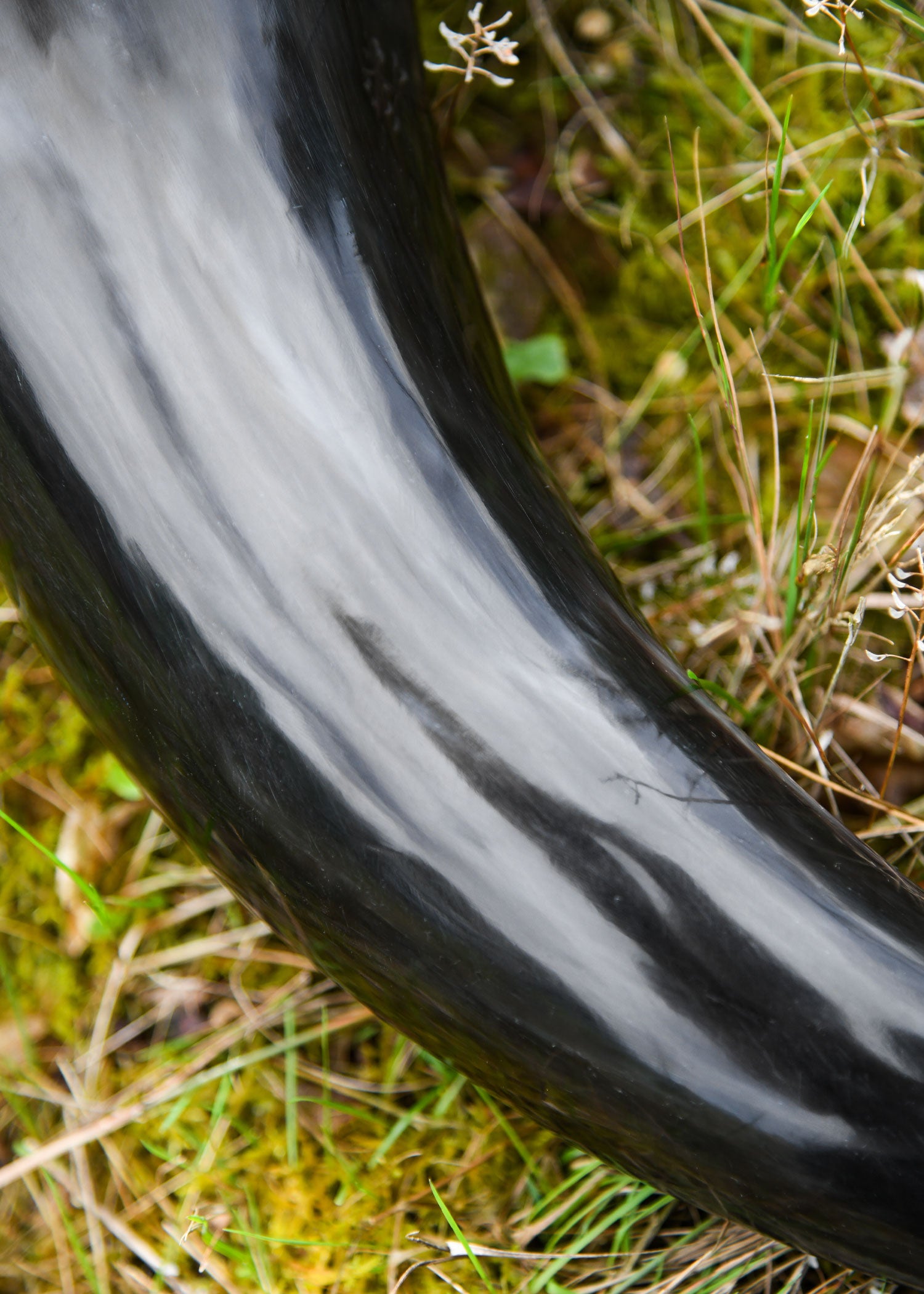 Imagen única de: Cuerno Para Beber, Aprox. 1,75 Litros