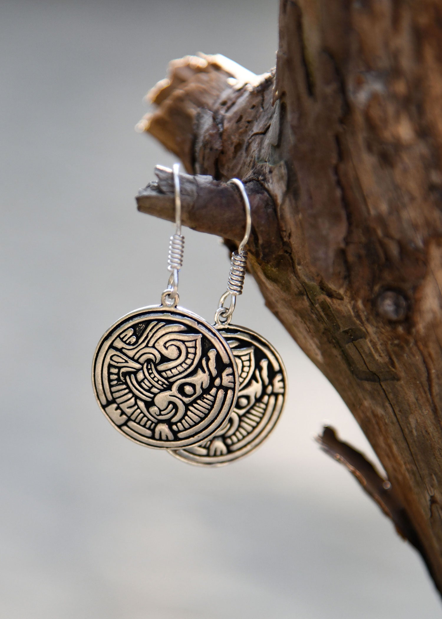 Imagen única de: Pendientes Vikingos Con Apasionante Motivo Animal, Par, Latón Plateado