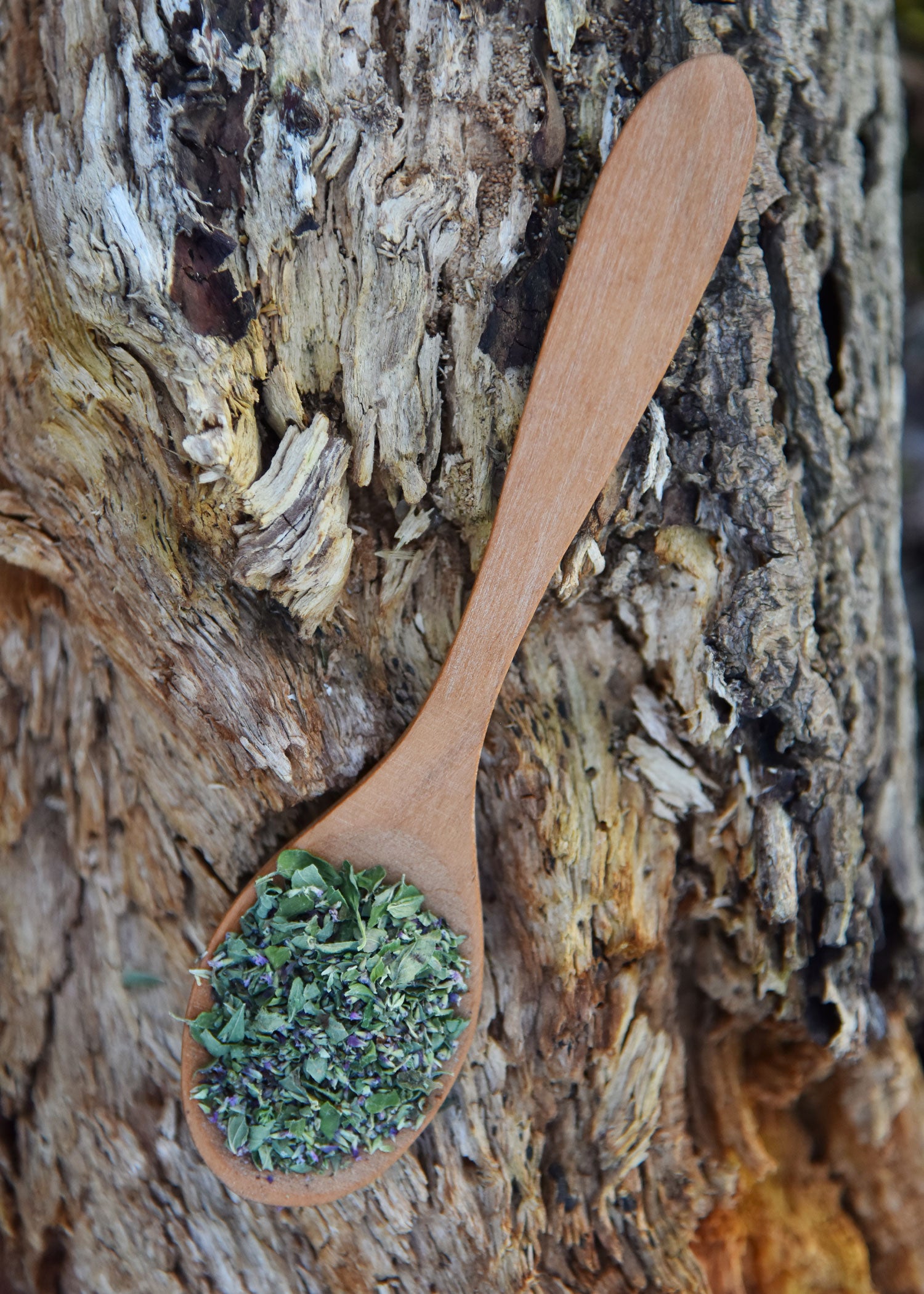Imagen única de: Cuchara De Madera De Cerezo, Aprox. 17 X 4 Cm