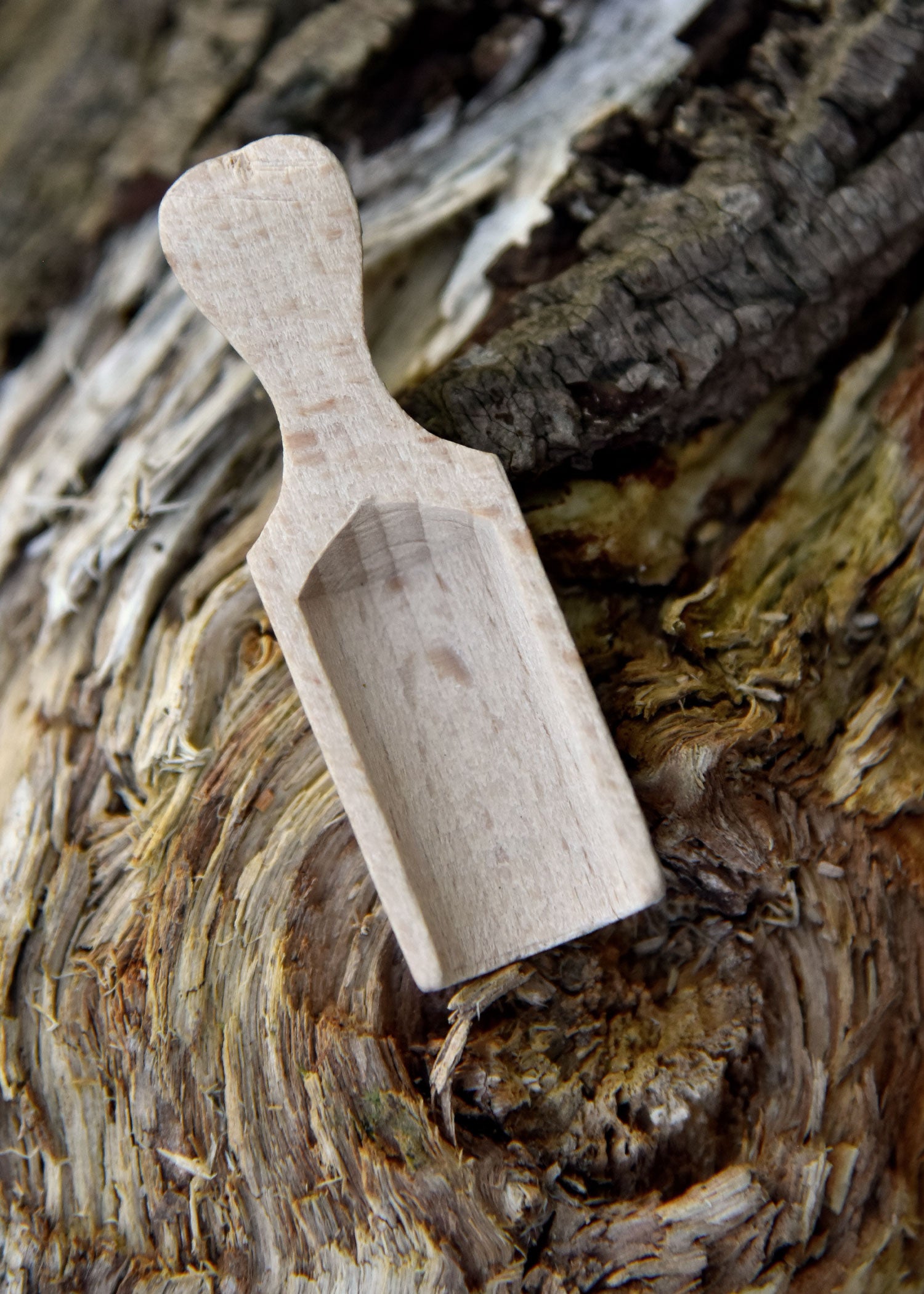 Imagen única de: Pala De Madera De Haya, Mango Plano, Aprox. 6 X 1,8 Cm.