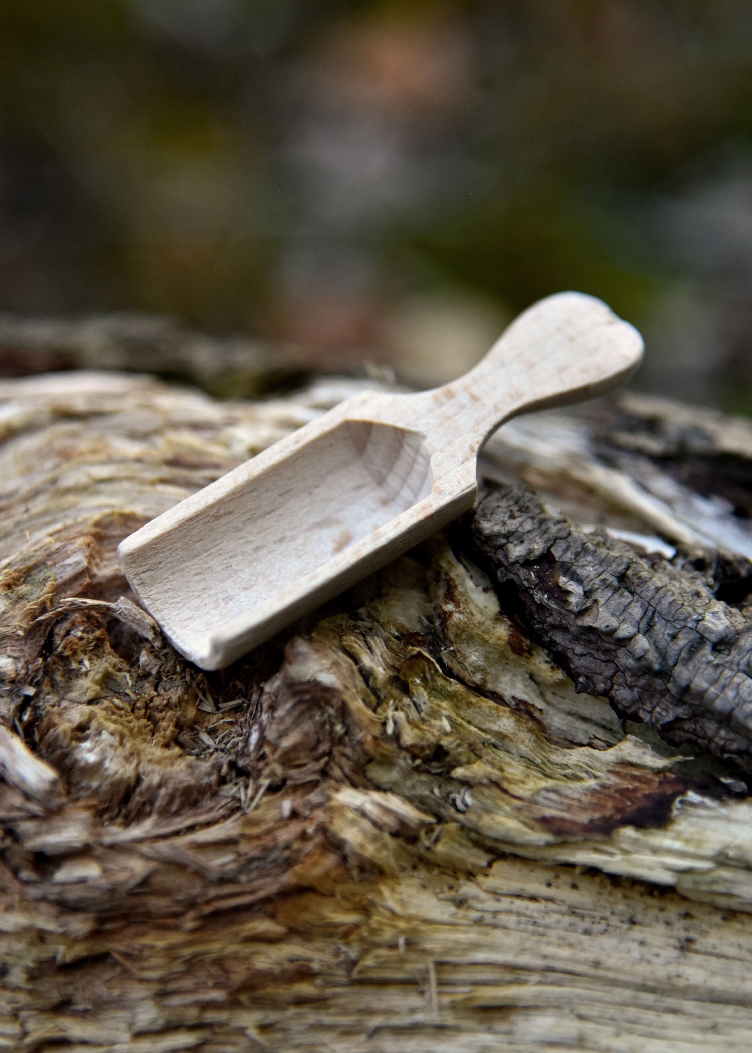 Imagen única de: Pala De Madera De Haya, Mango Plano, Aprox. 6 X 1,8 Cm.