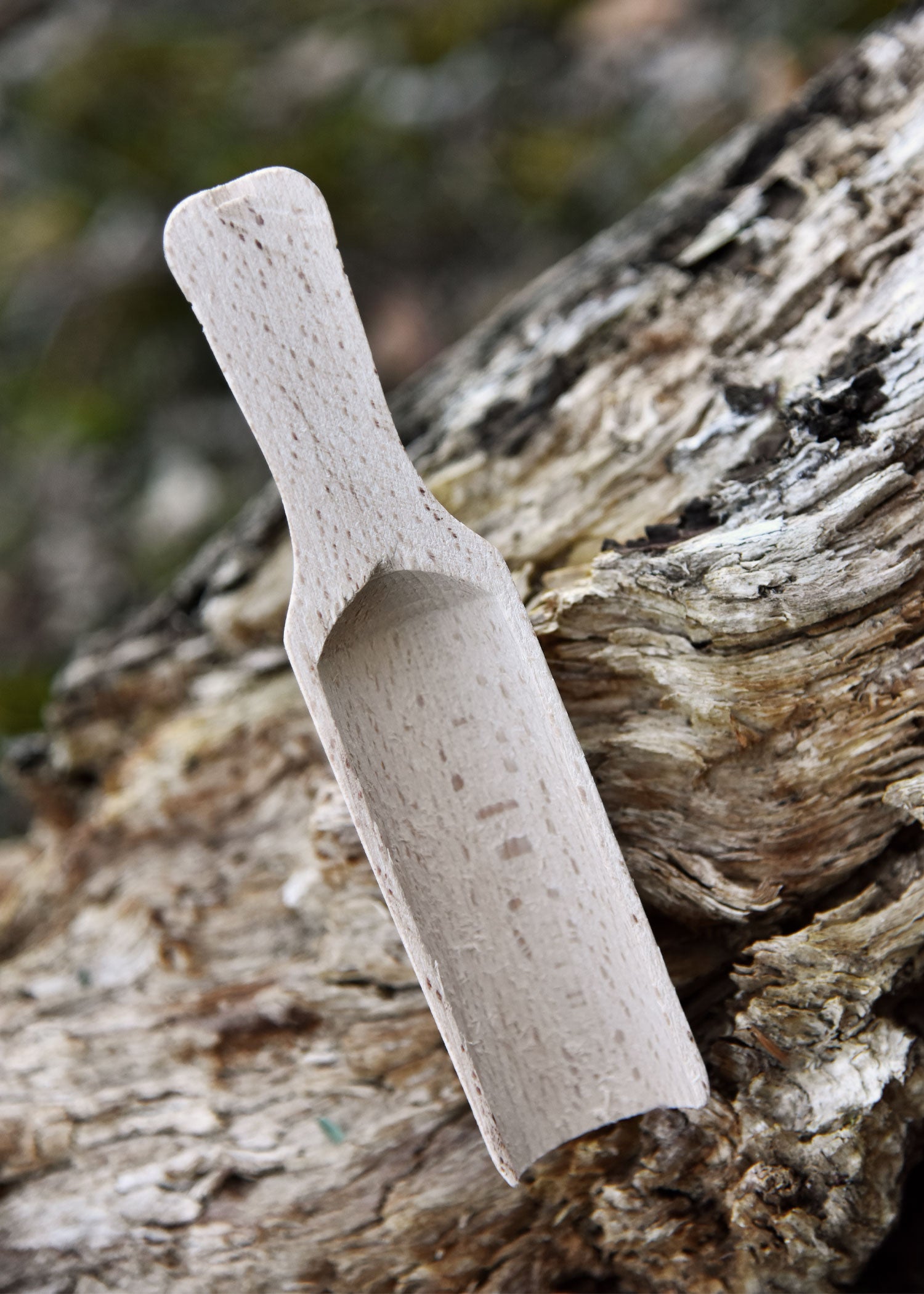 Imagen única de: Pala De Madera De Haya, Mango Plano, Aprox. 15 X 3,5 Cm.