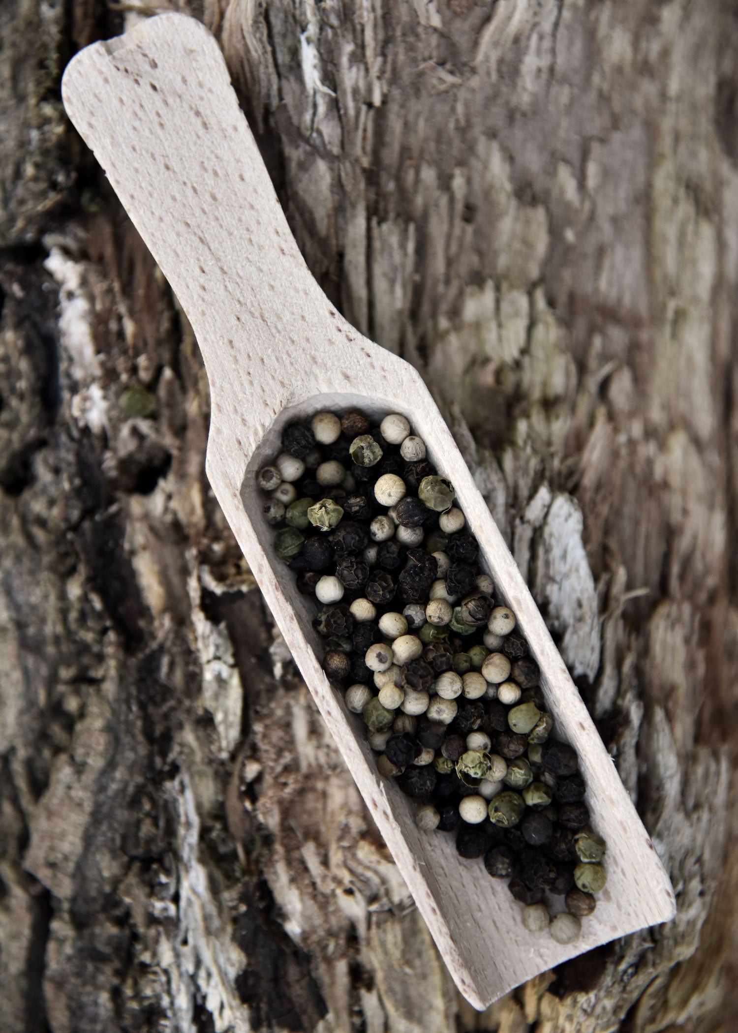 Imagen única de: Pala De Madera De Haya, Mango Plano, Aprox. 15 X 3,5 Cm.