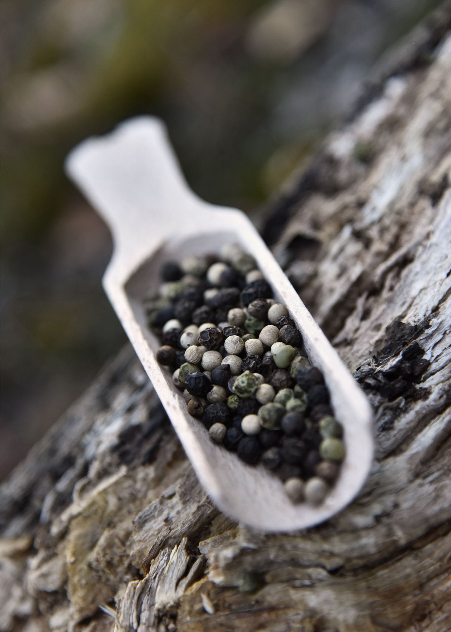 Imagen única de: Pala De Madera De Haya, Mango Plano, Aprox. 15 X 3,5 Cm.