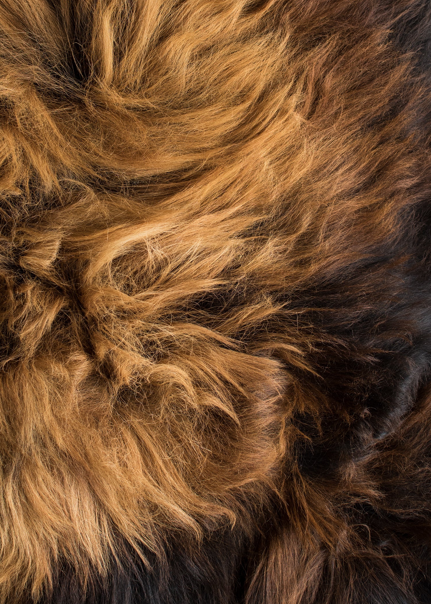 Imagen única de: Piel De Caracol Nordland, Negra Con Puntas Flameadas, Aprox.