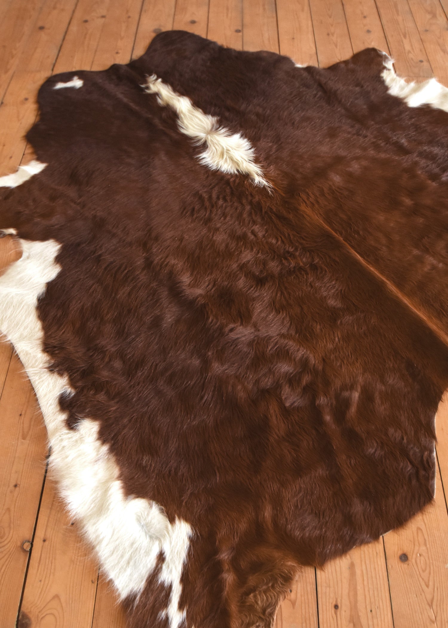 Imagen única de: Piel De Vacuno, Marrón-blanco