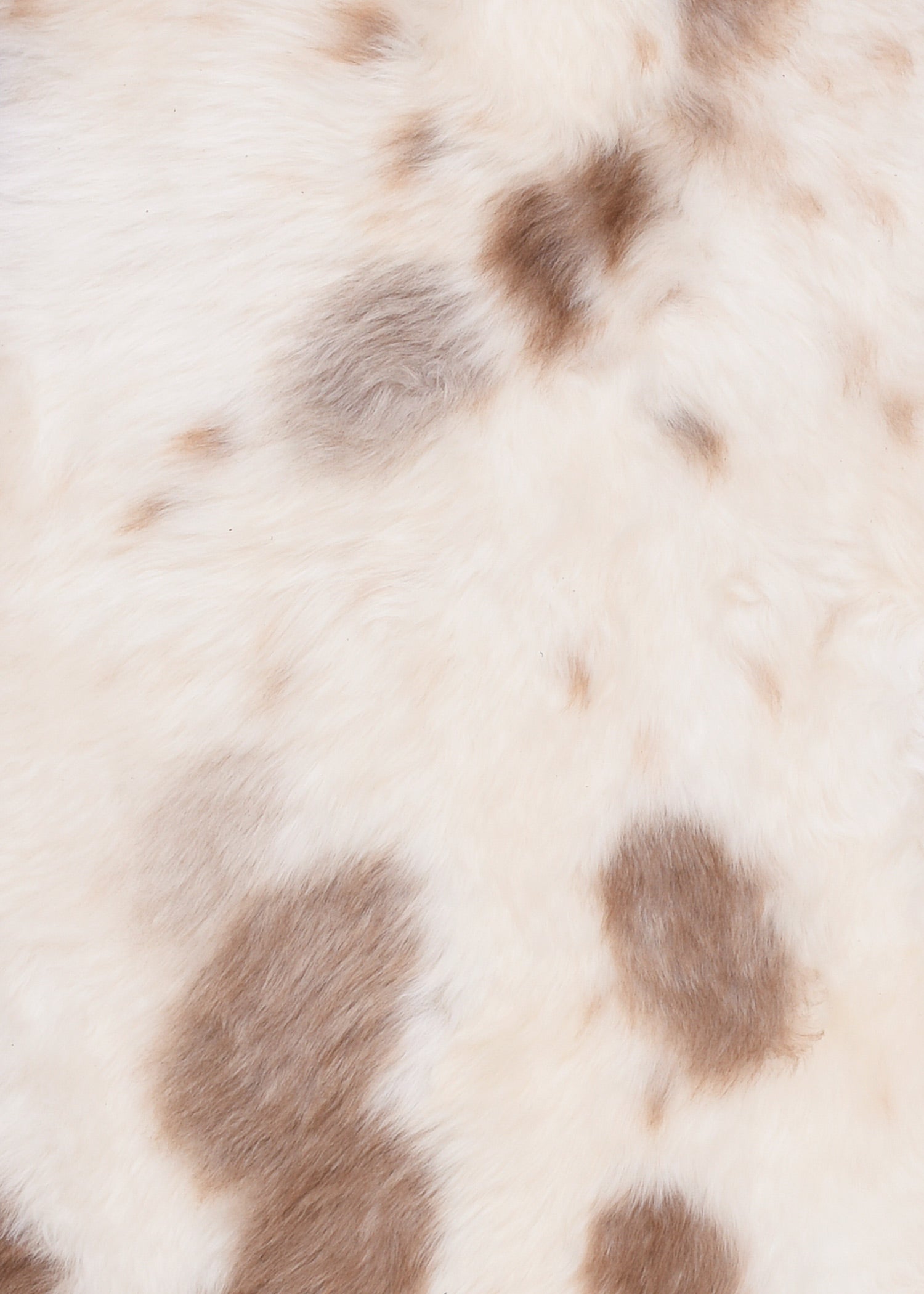 Imagen única de: Piel De Oveja De Nueva Zelanda, Blanco-verde Con Puntas De Color Natural, Aprox. 90 Cm.