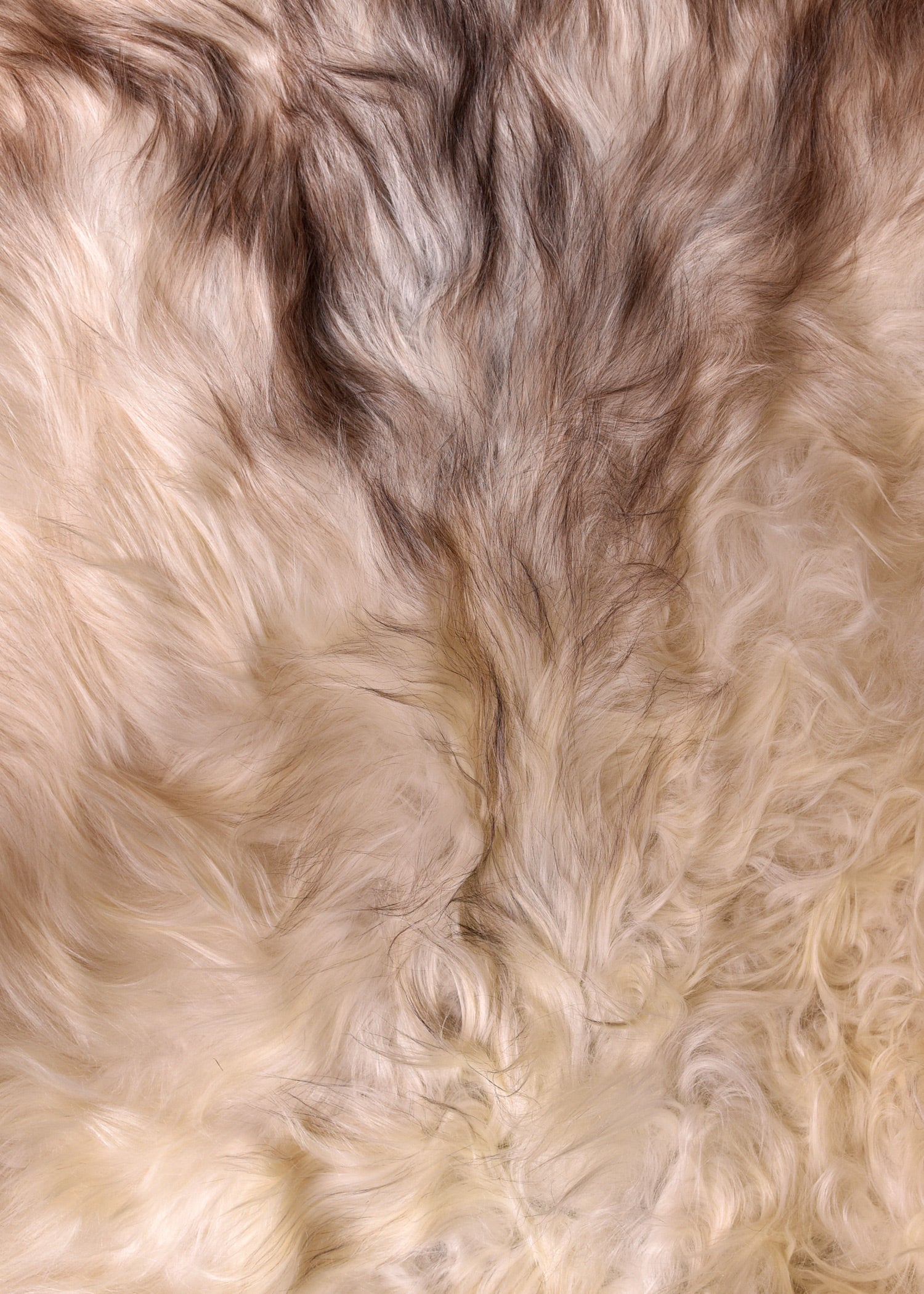 Imagen única de: Piel De Caracol Nordland, Clara, Aprox.