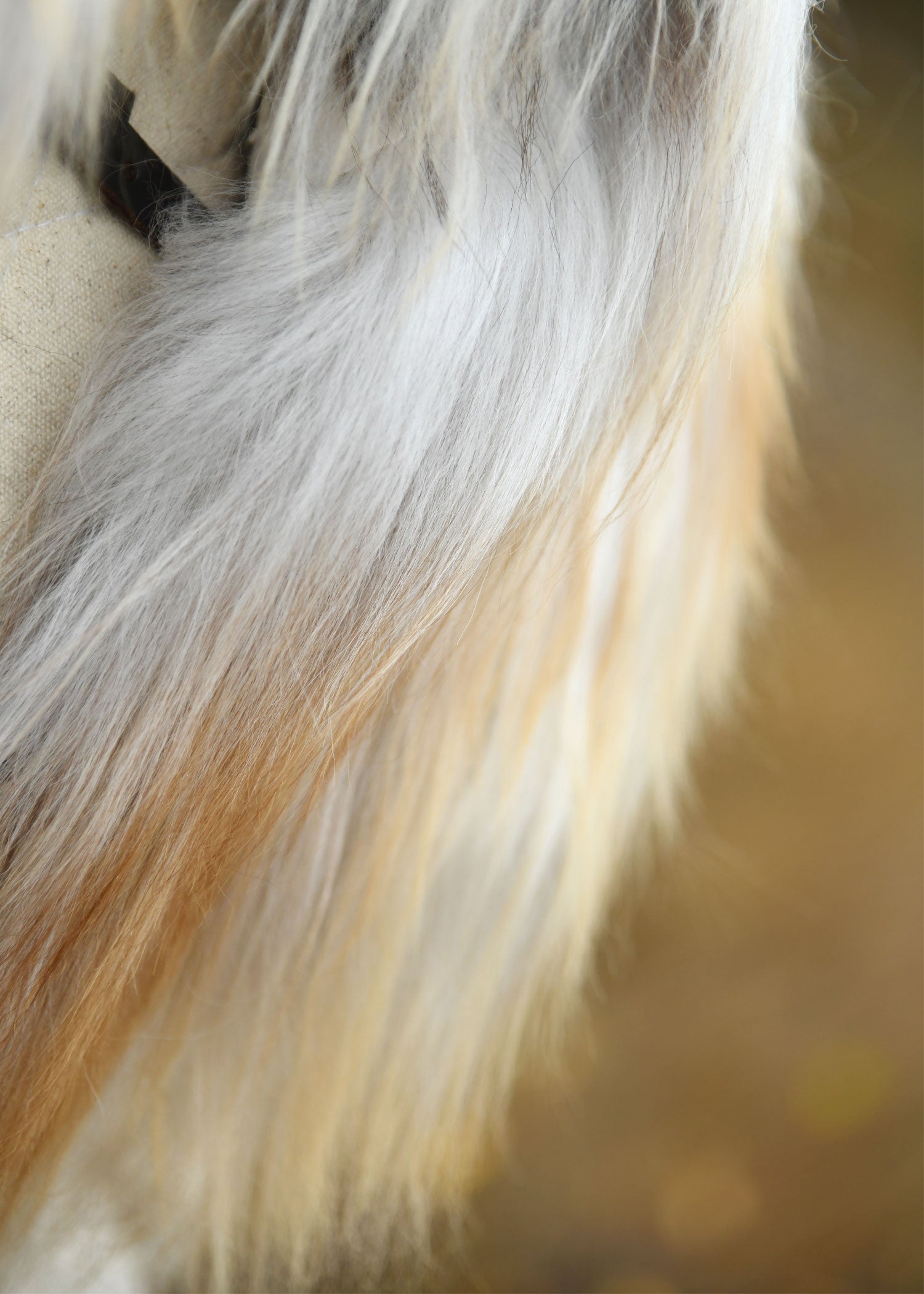 Imagen única de: Piel De Hombro Hecha De Piel De Caracol Nordland, Moteada De Blanco
