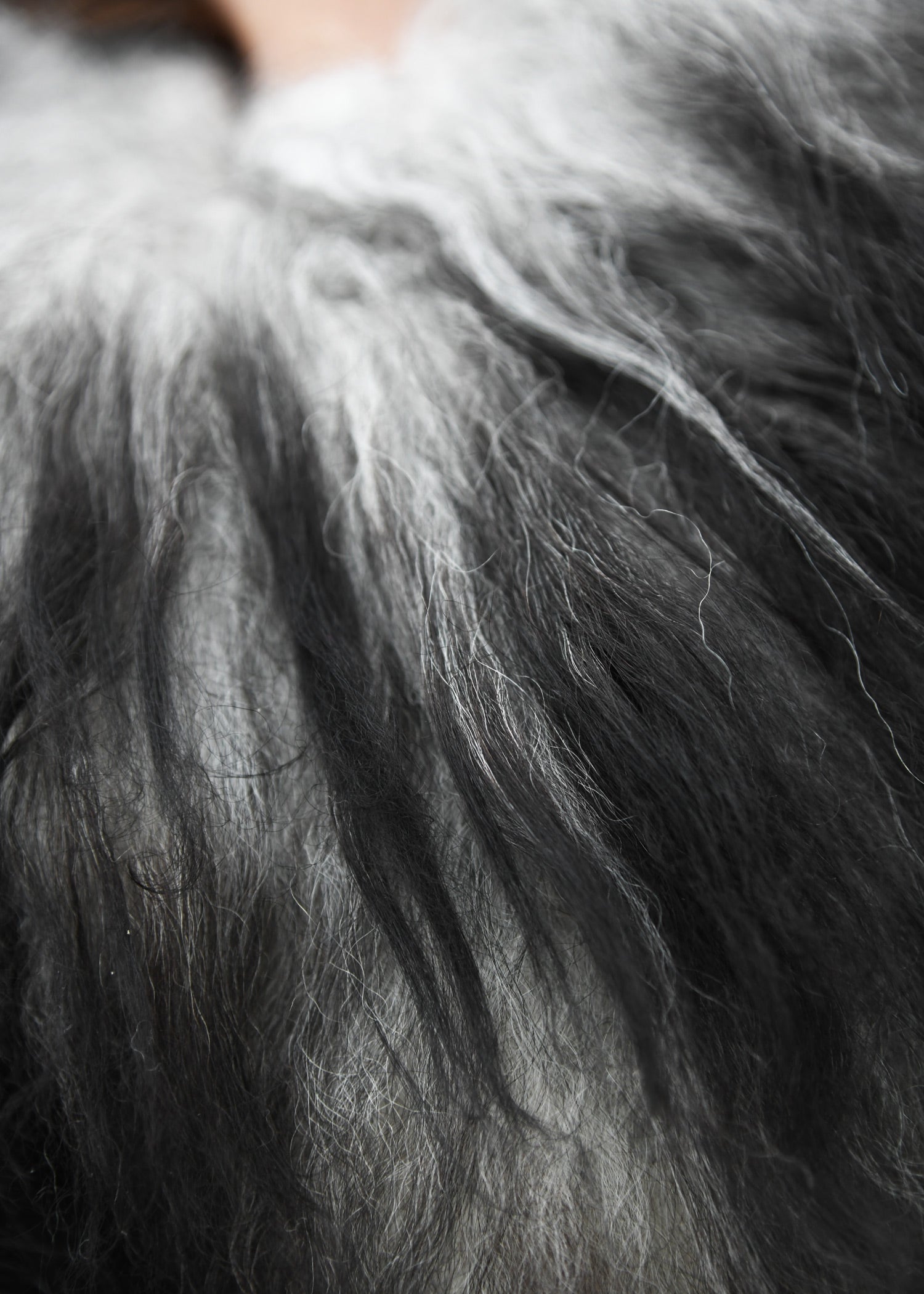 Imagen única de: Piel De Hombro Hecha De Piel De Caracol Nordland, Gris Oscuro