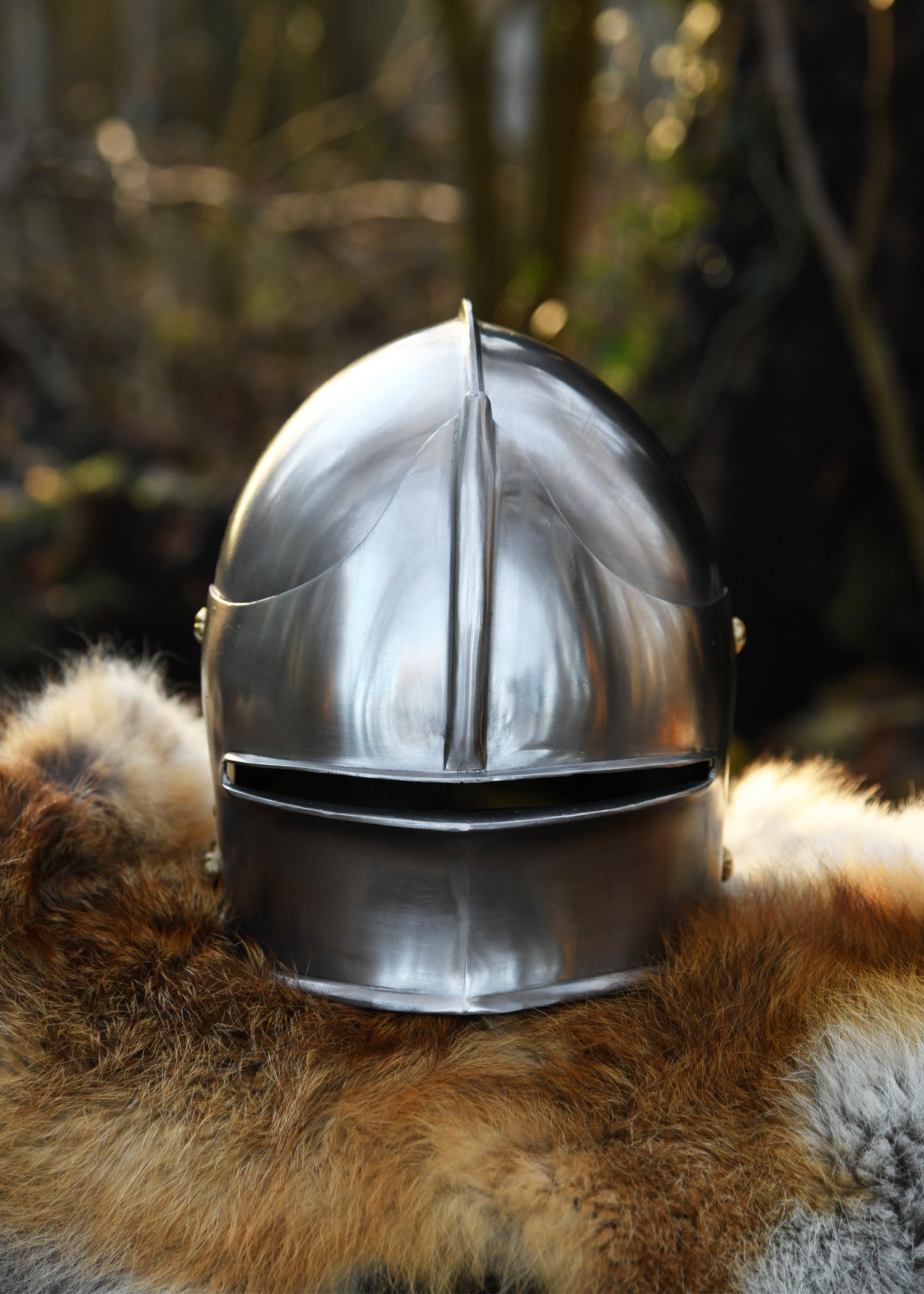 Imagen única de: Schaller Alemán, Ca. 1480, Acero De 1,6 Mm.