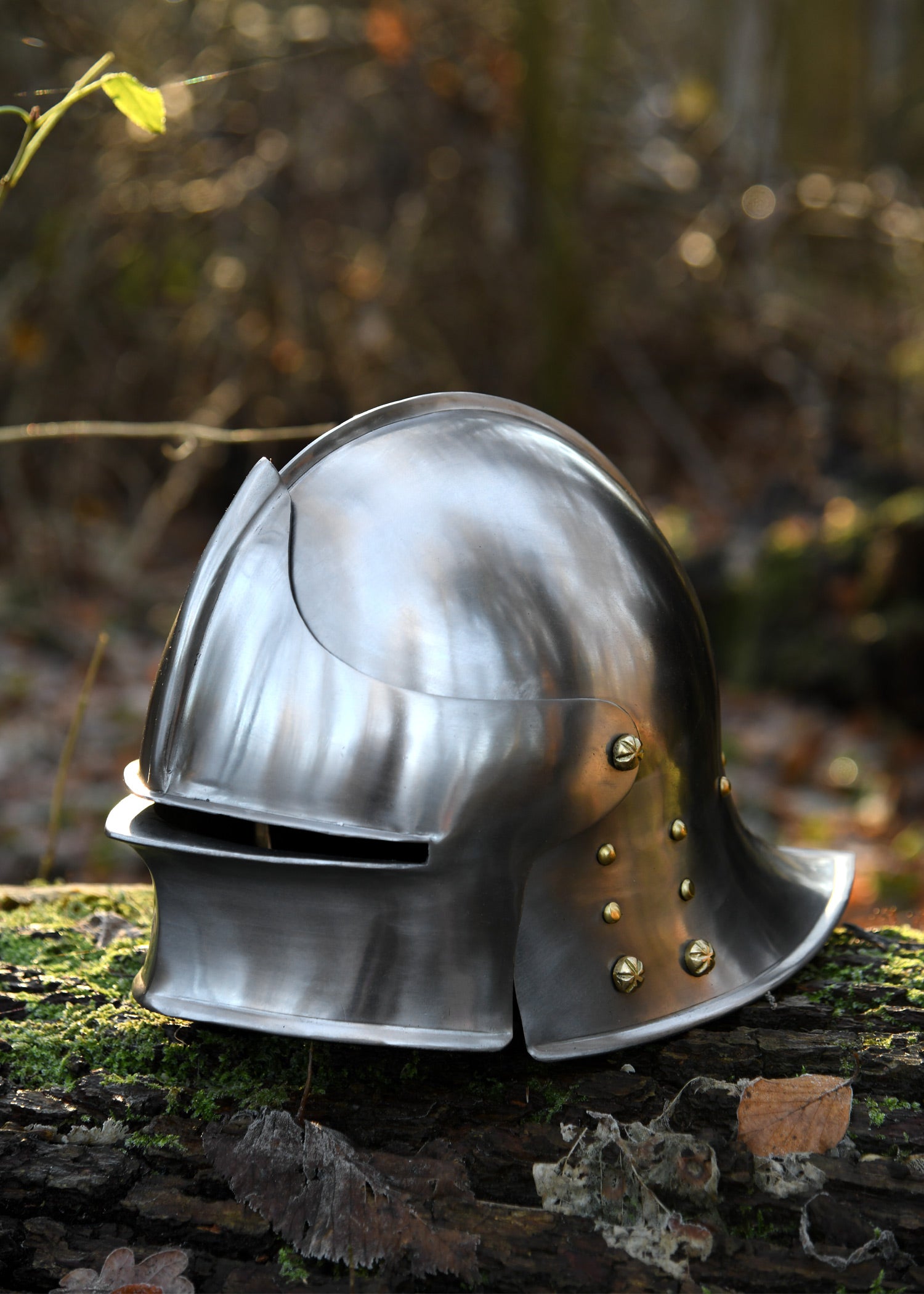 Imagen única de: Schaller Alemán, Ca. 1480, Acero De 1,6 Mm.