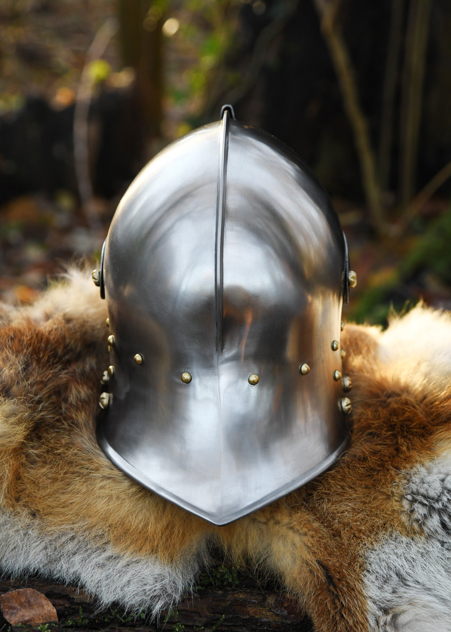 Imagen única de: Schaller Alemán, Ca. 1480, Acero De 1,6 Mm.